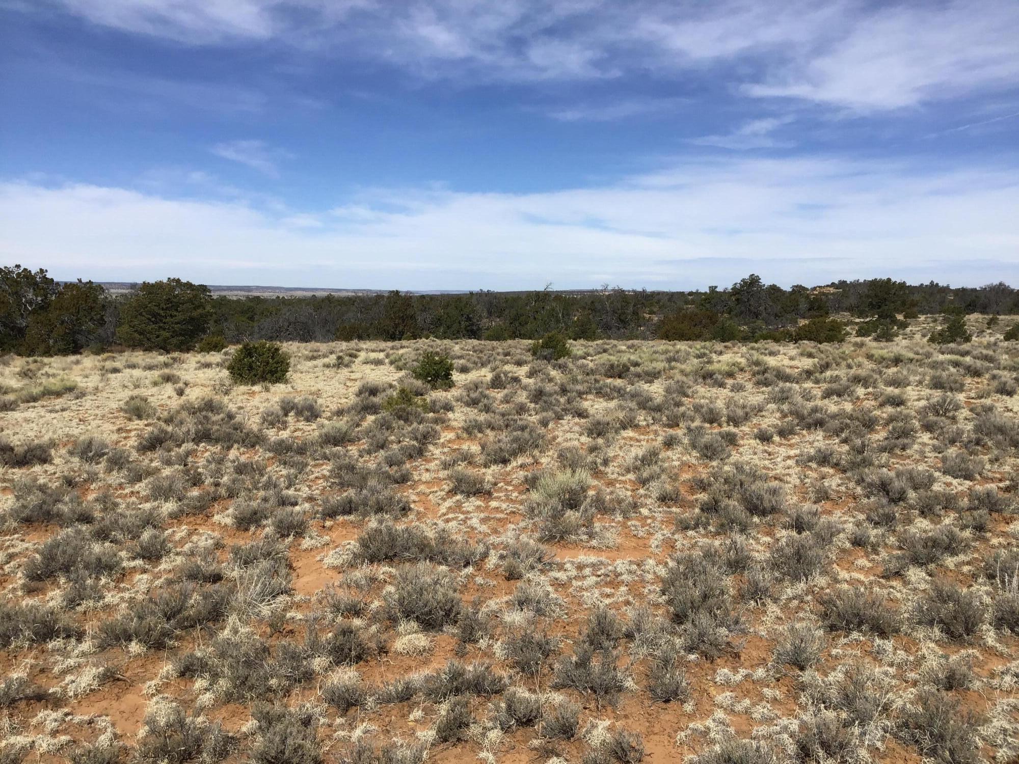 Lot 204 Meadow Drive, Ramah, New Mexico image 19