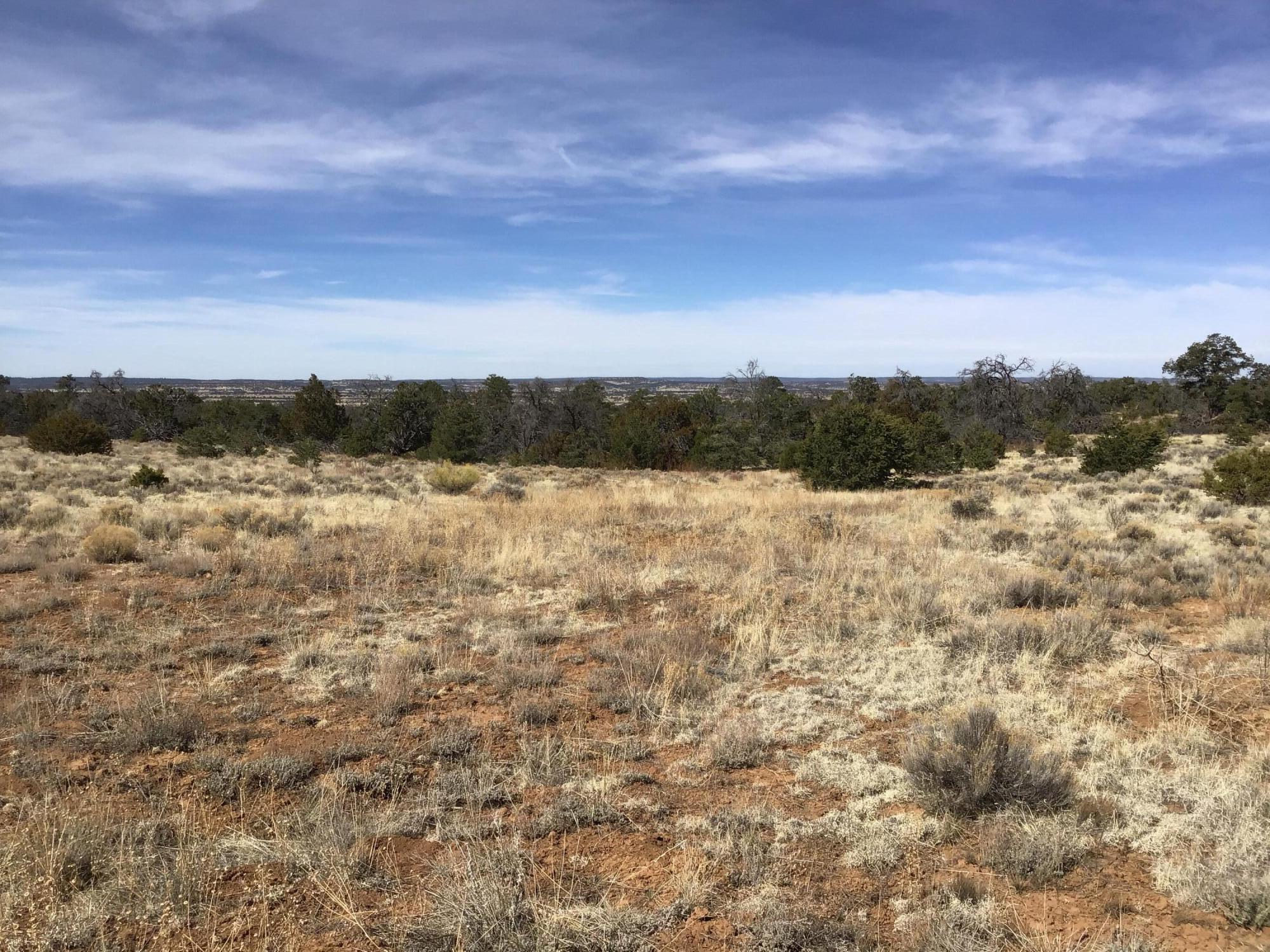 Lot 204 Meadow Drive, Ramah, New Mexico image 3