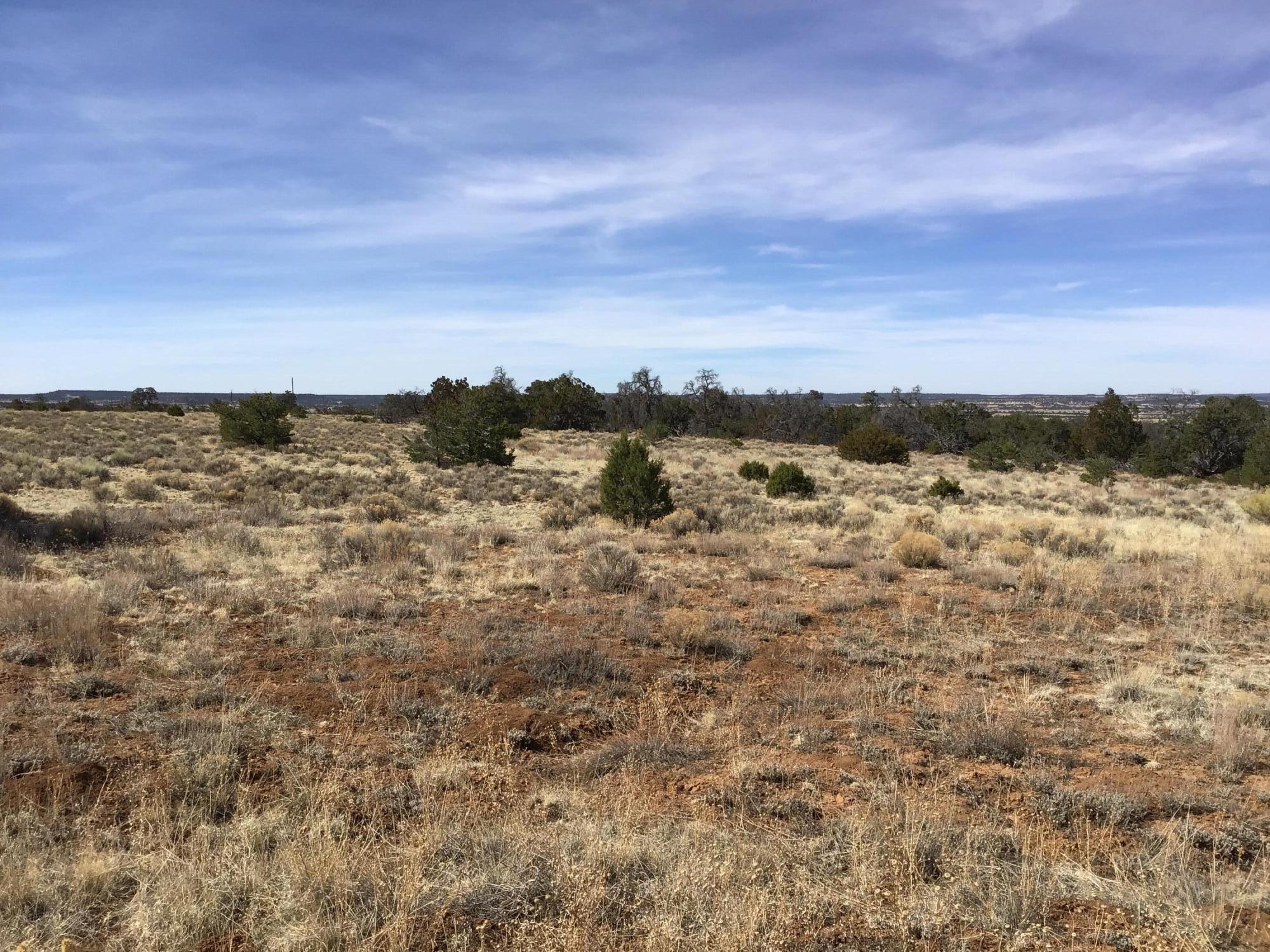Lot 204 Meadow Drive, Ramah, New Mexico image 4