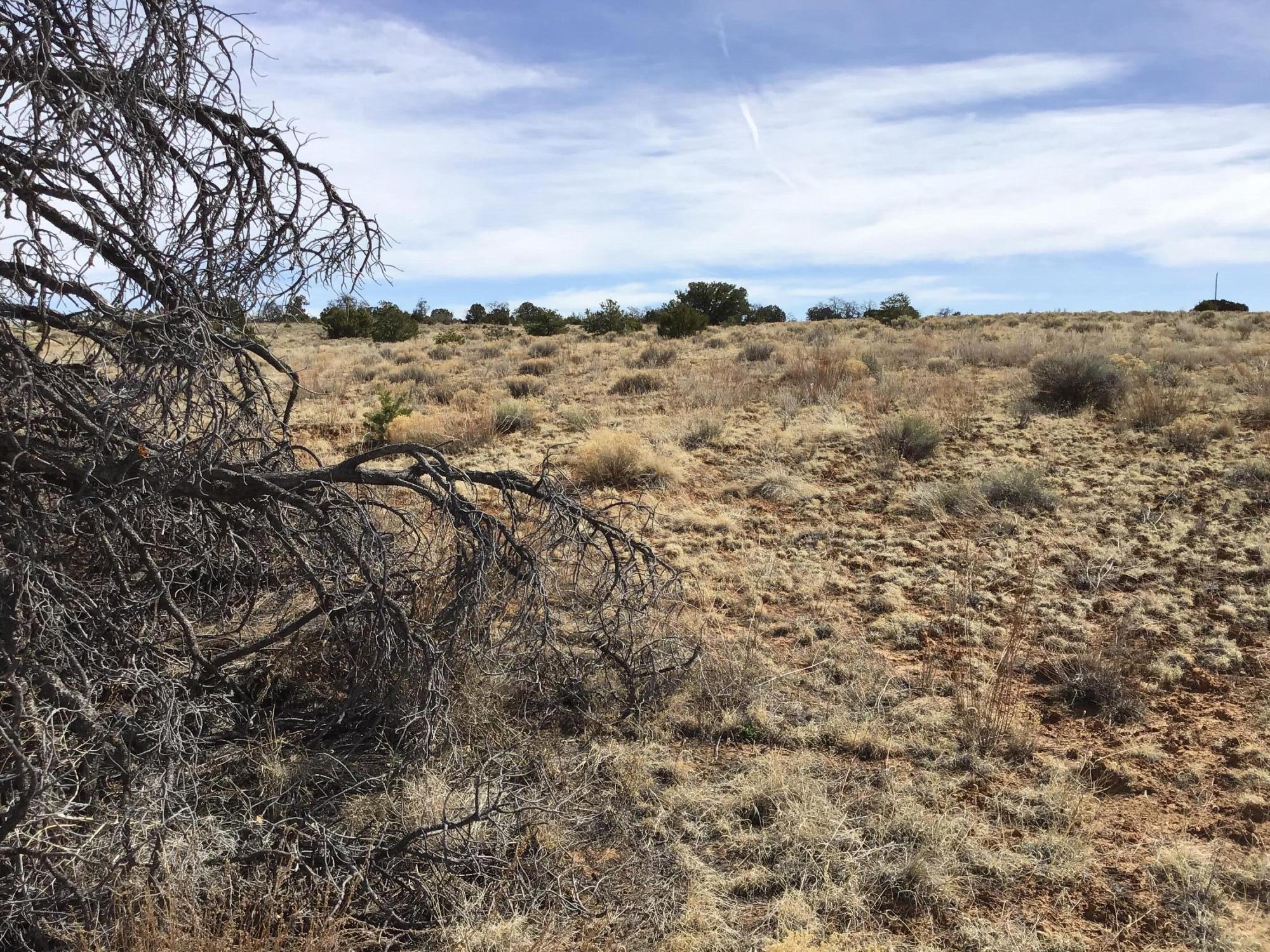 Lot 204 Meadow Drive, Ramah, New Mexico image 18