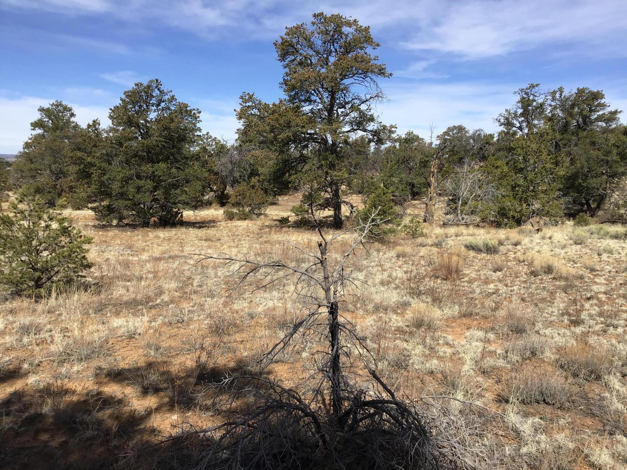 Lot 204 Meadow Drive, Ramah, New Mexico image 15