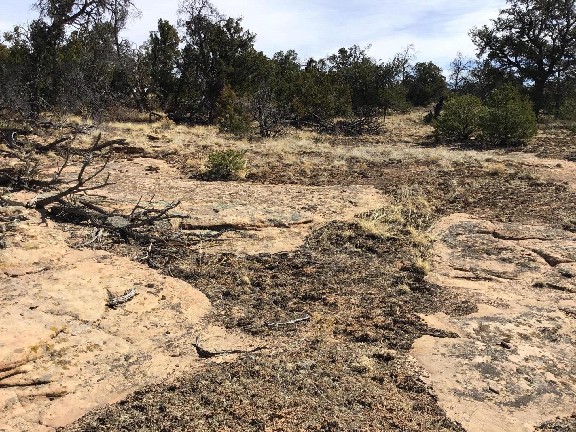 Lot 204 Meadow Drive, Ramah, New Mexico image 9