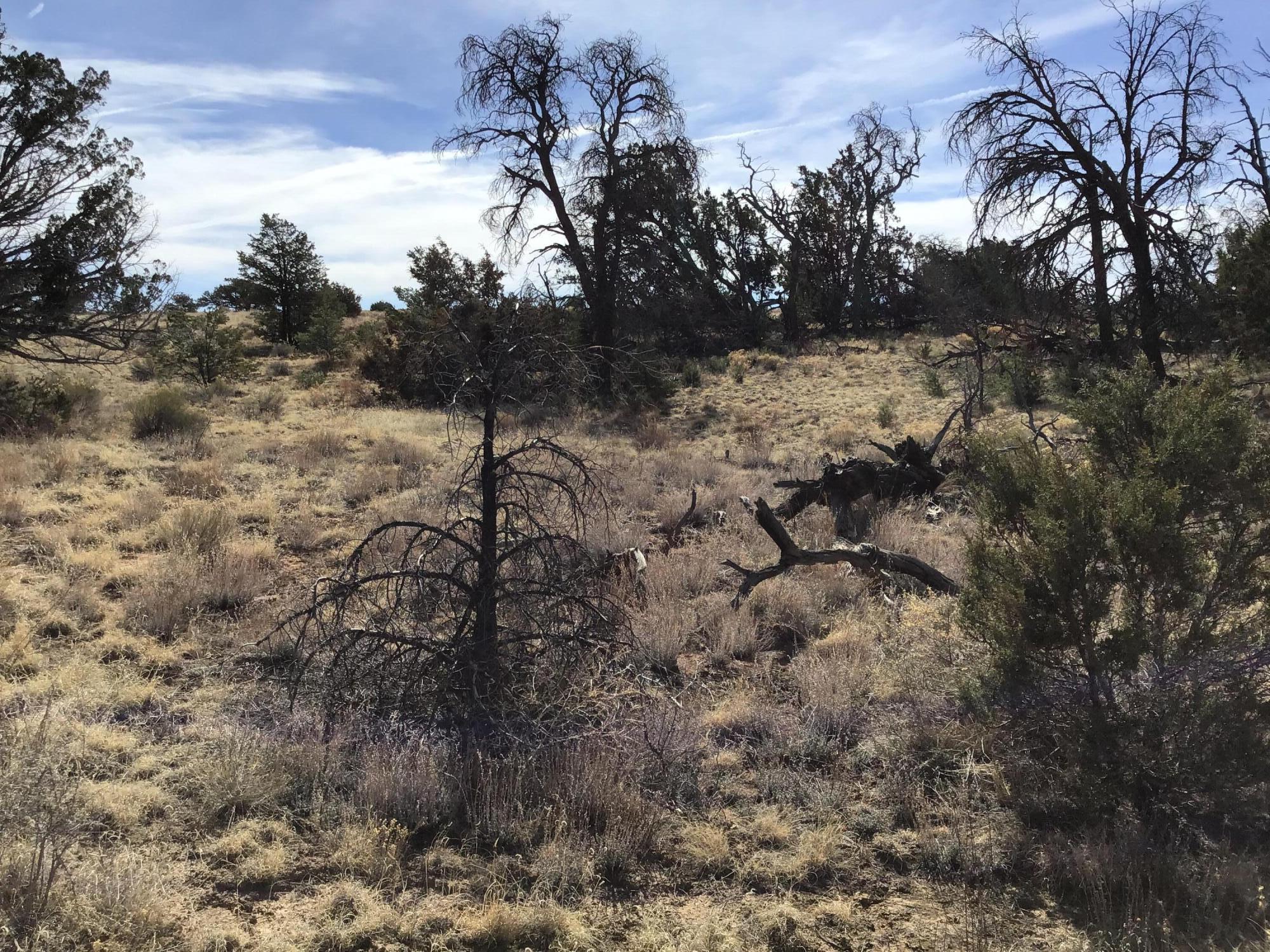 Lot 204 Meadow Drive, Ramah, New Mexico image 8