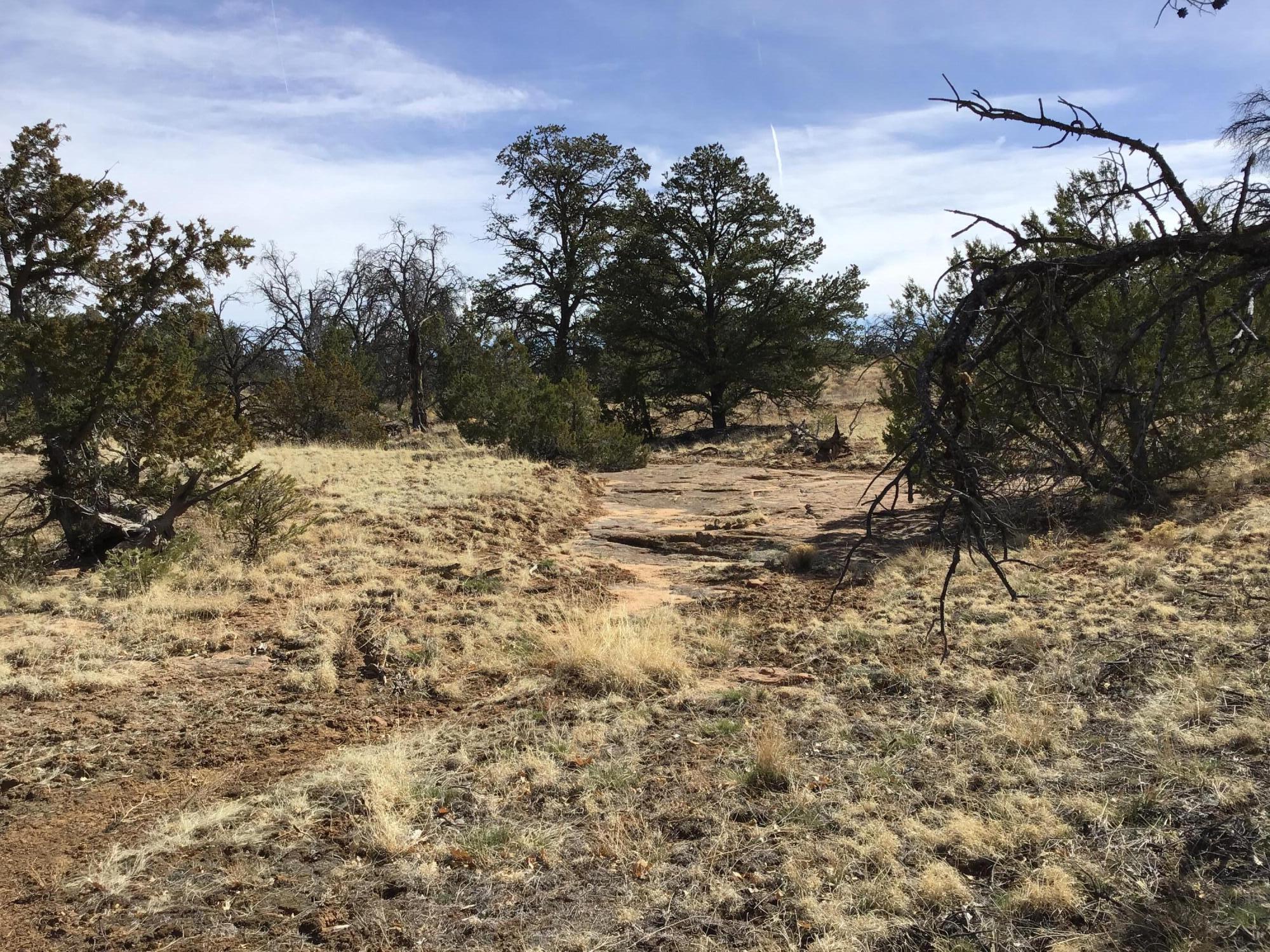 Lot 204 Meadow Drive, Ramah, New Mexico image 7