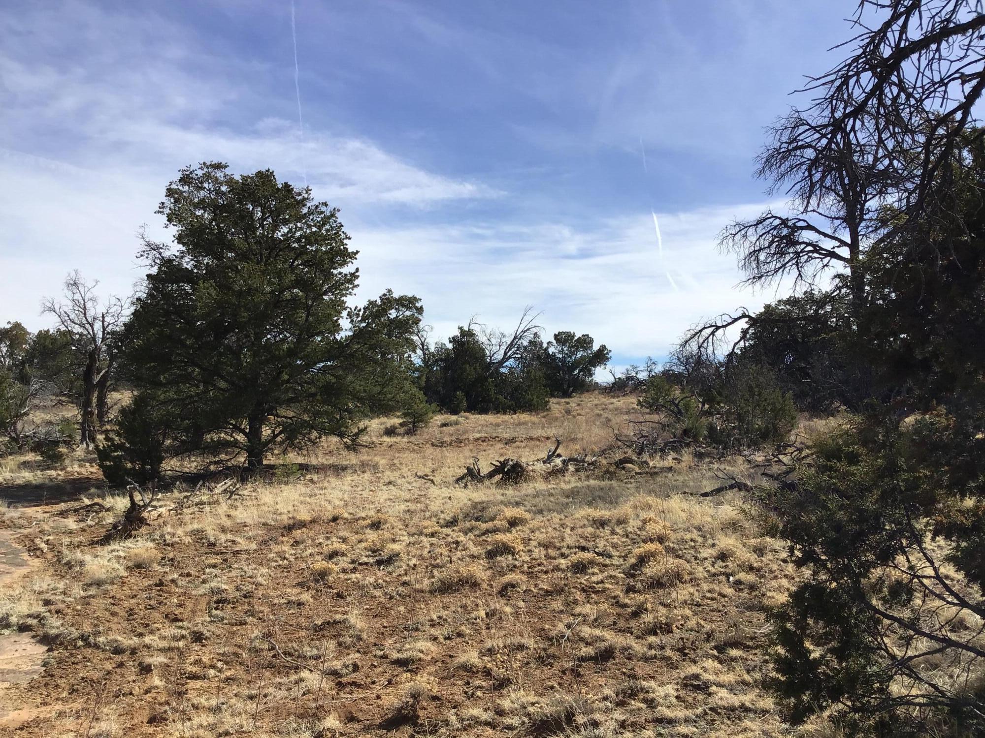 Lot 204 Meadow Drive, Ramah, New Mexico image 11