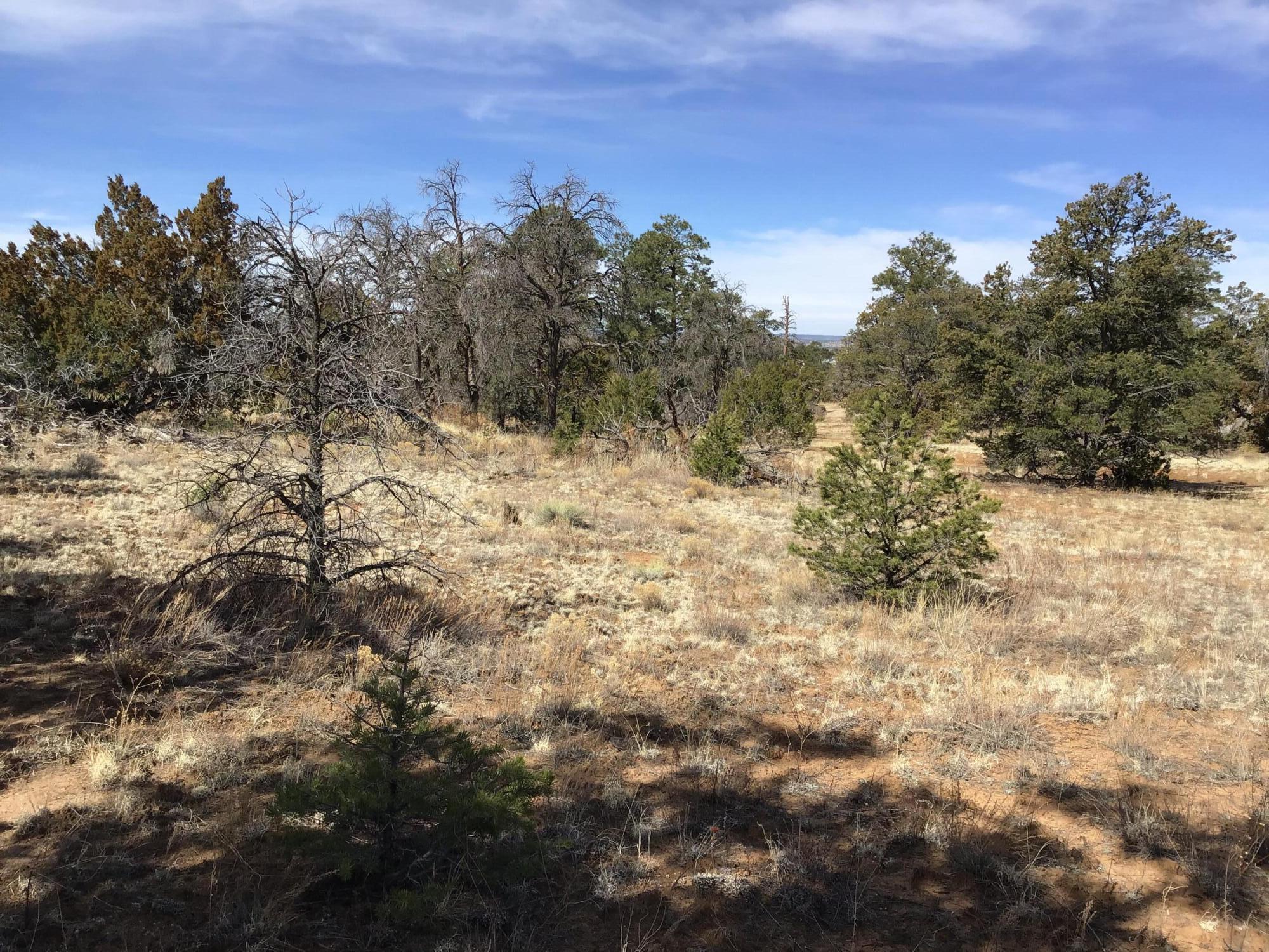 Lot 204 Meadow Drive, Ramah, New Mexico image 16