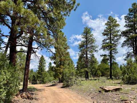 Photo of 3 Leaning Pine Lane, Ramah, NM 87321 (MLS # 1109137)