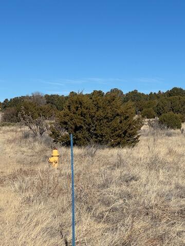 4 Straughan Ct Court, Sandia Park, New Mexico image 1