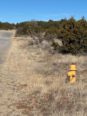 4 Straughan Ct Court, Sandia Park, New Mexico image 2