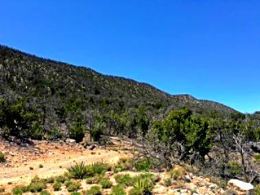 1158 Deer Canyon Trail, Mountainair, New Mexico image 4