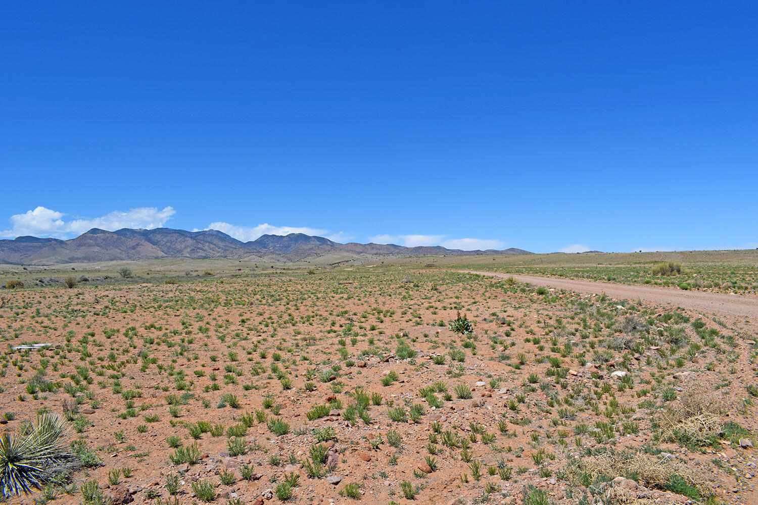 Lot 141 Desert Highlands Road, San Antonio, New Mexico image 7