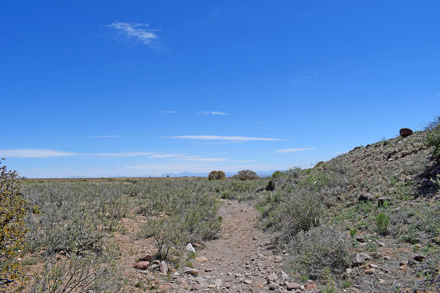 Lot 141 Desert Highlands Road, San Antonio, New Mexico image 23