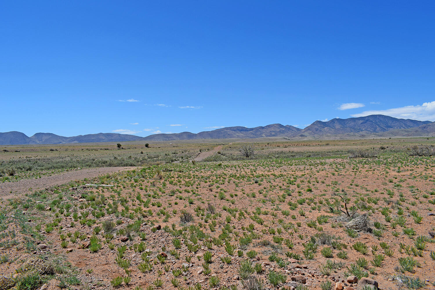 Lot 141 Desert Highlands Road, San Antonio, New Mexico image 6