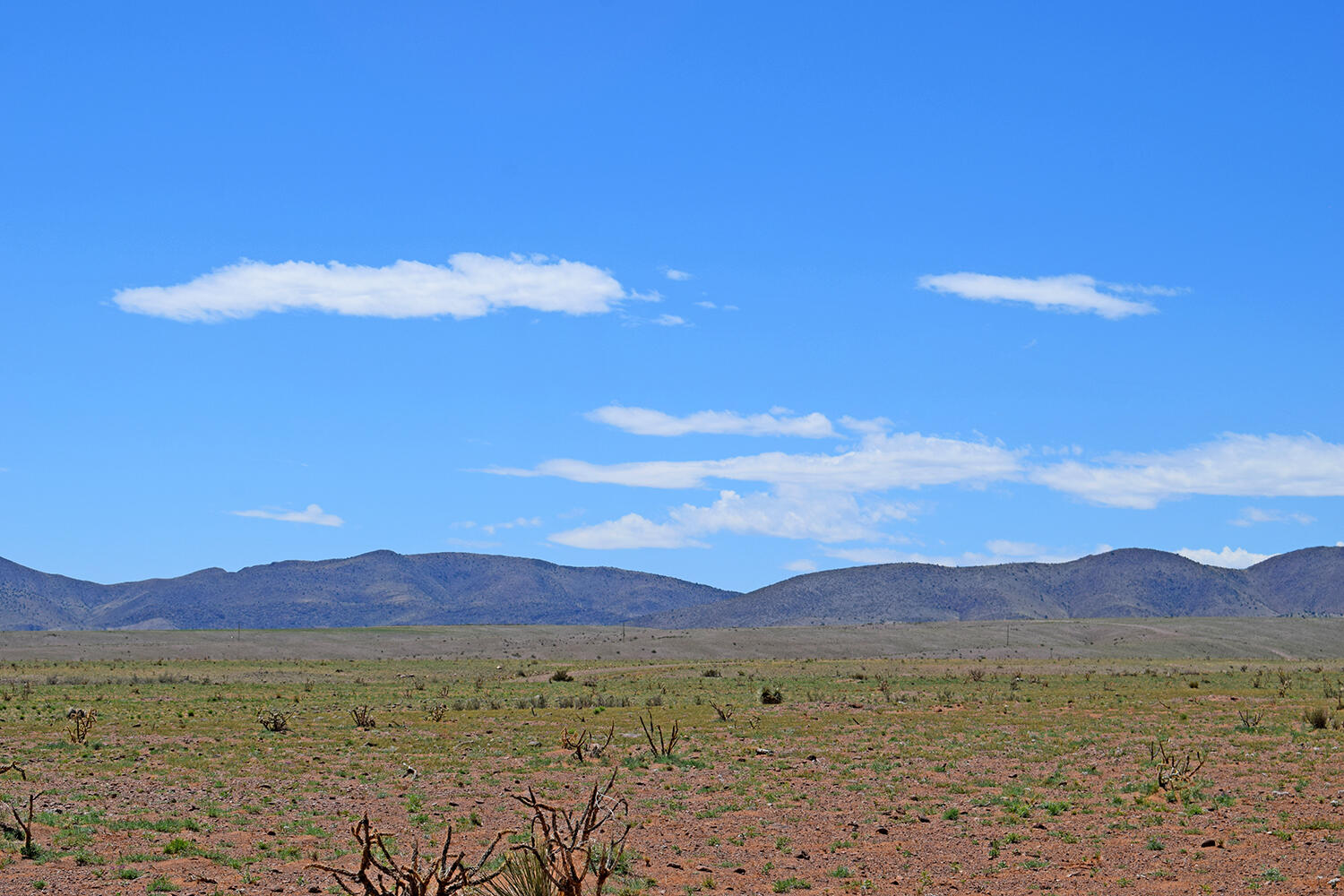 Lot 141 Desert Highlands Road, San Antonio, New Mexico image 38