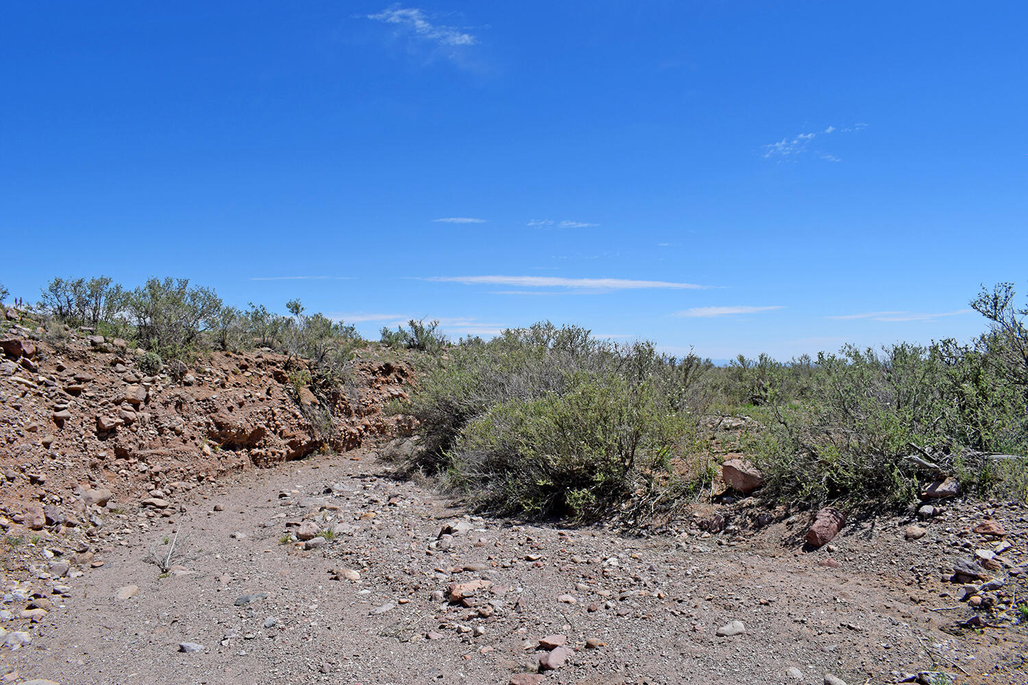 Lot 141 Desert Highlands Road, San Antonio, New Mexico image 22