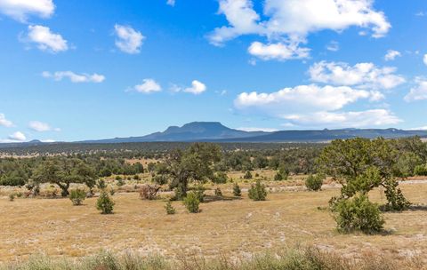 Vacant Land For Sale - 88 Old Stage Road<br/> Catron County, Pie Town, NM 87827