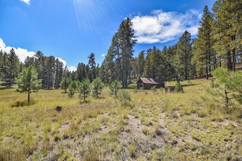 Photo of 27.5 Acres Jemez Mountain Forest Rd 10, Jemez Springs, NM 87025 (MLS # 1092457)