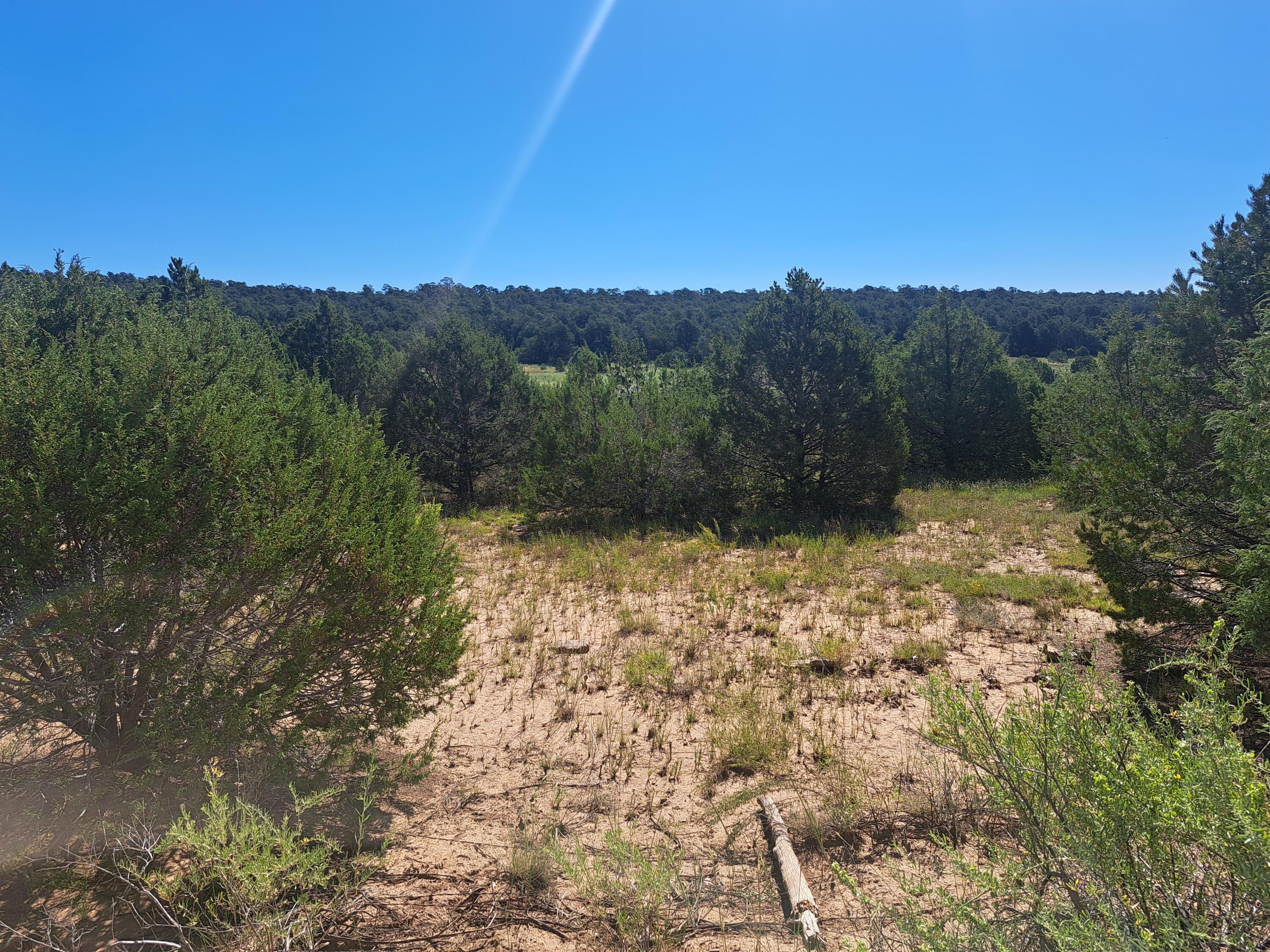 00 Upper Juan Tomas Road, Tijeras, New Mexico image 3