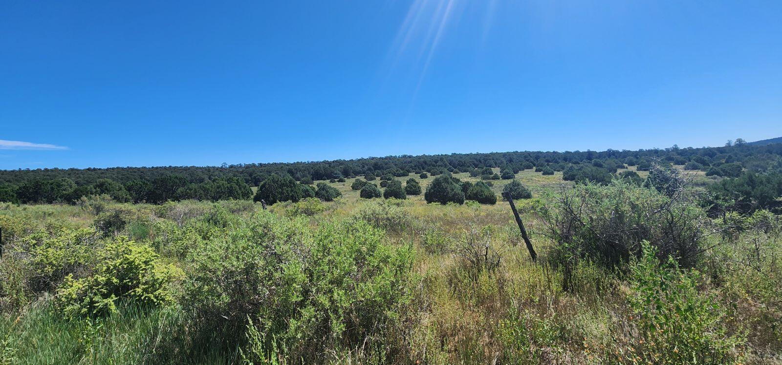 00 Upper Juan Tomas Road, Tijeras, New Mexico image 1