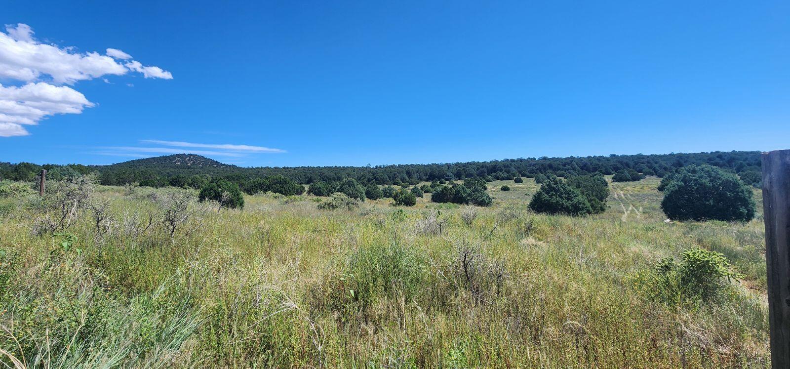 00 Upper Juan Tomas Road, Tijeras, New Mexico image 2