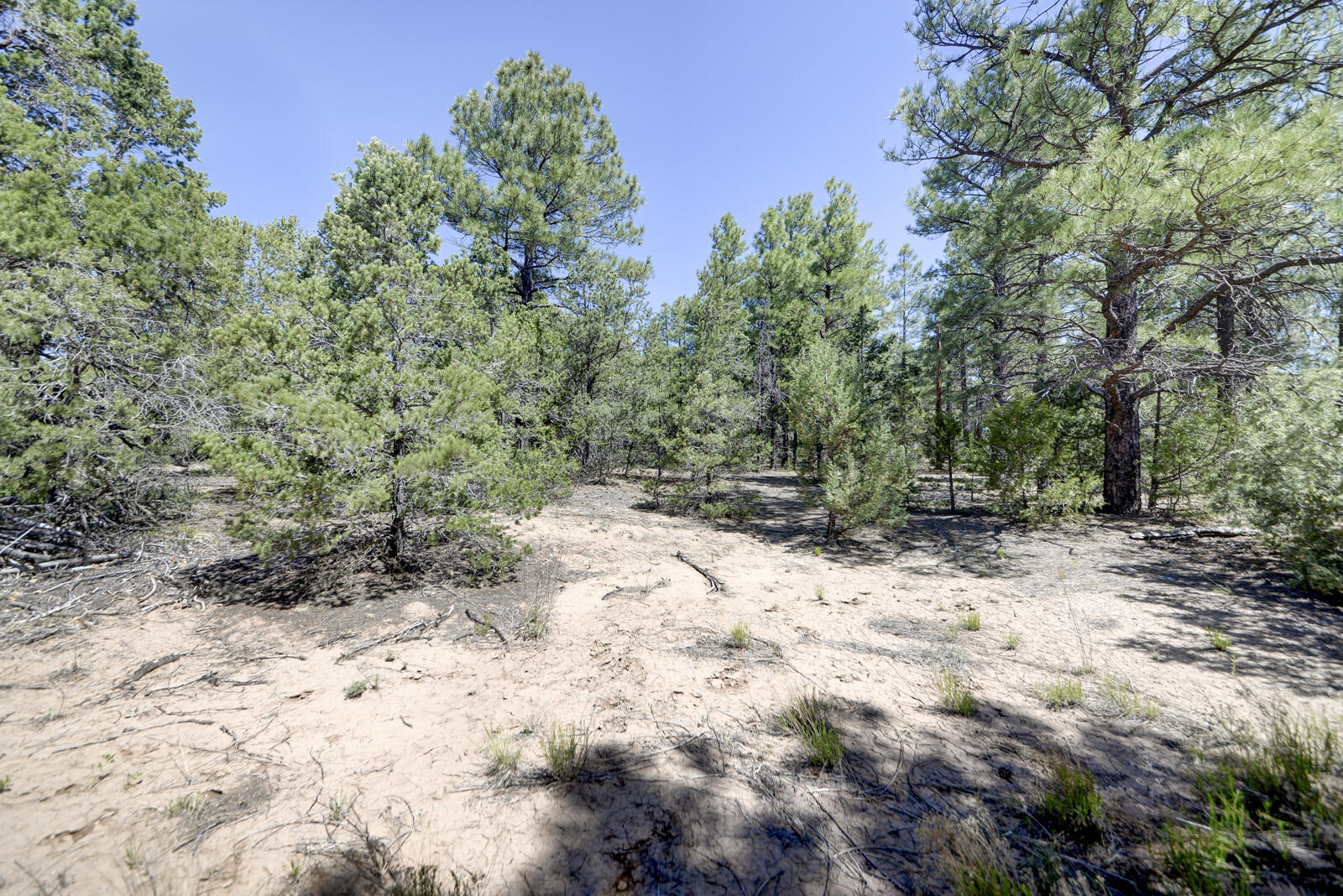 24 Buckboard Road, Tijeras, New Mexico image 28