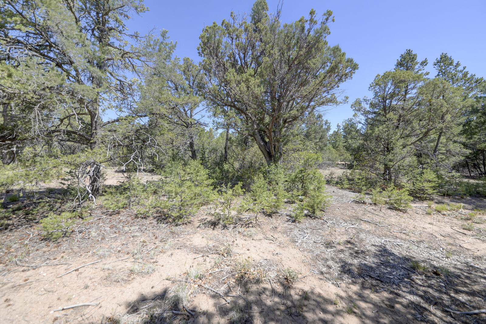 24 Buckboard Road, Tijeras, New Mexico image 32