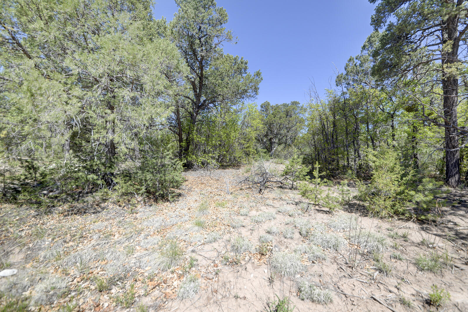 24 Buckboard Road, Tijeras, New Mexico image 29