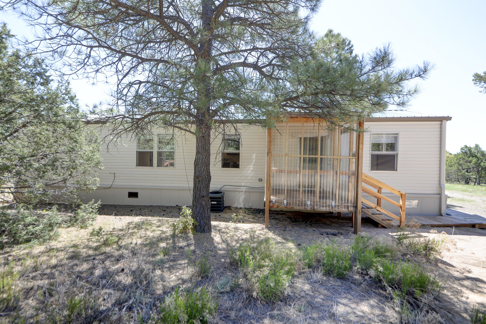 24 Buckboard Road, Tijeras, New Mexico image 6