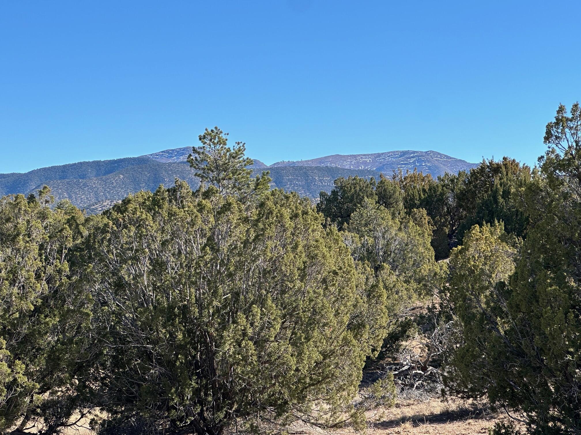 86 Turquoise Drive, Sandia Park, New Mexico image 3