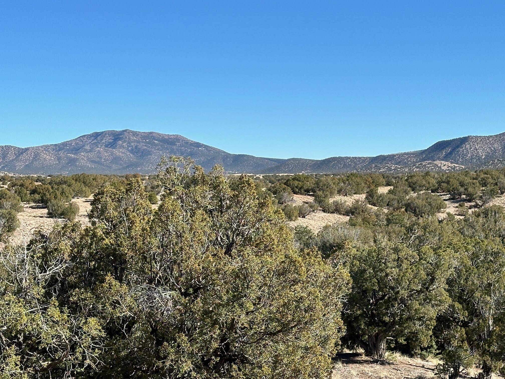 86 Turquoise Drive, Sandia Park, New Mexico image 8