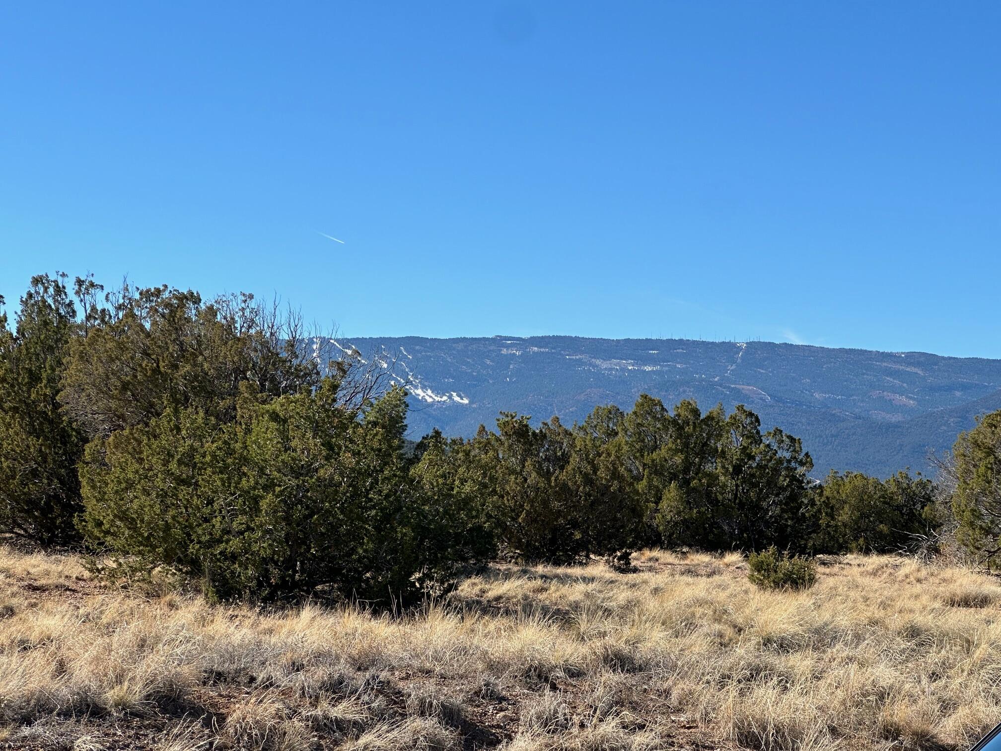 86 Turquoise Drive, Sandia Park, New Mexico image 16