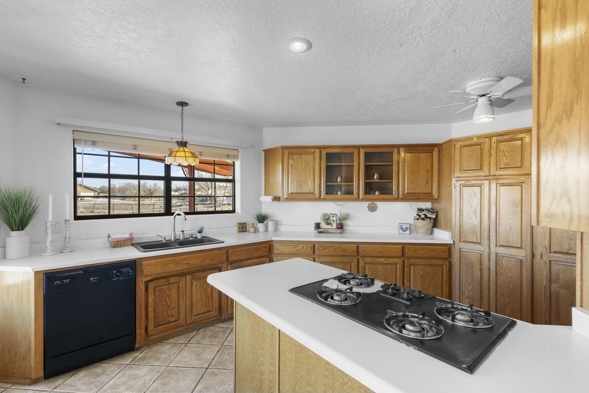 1 Blackberry Lane, Los Lunas, New Mexico image 11