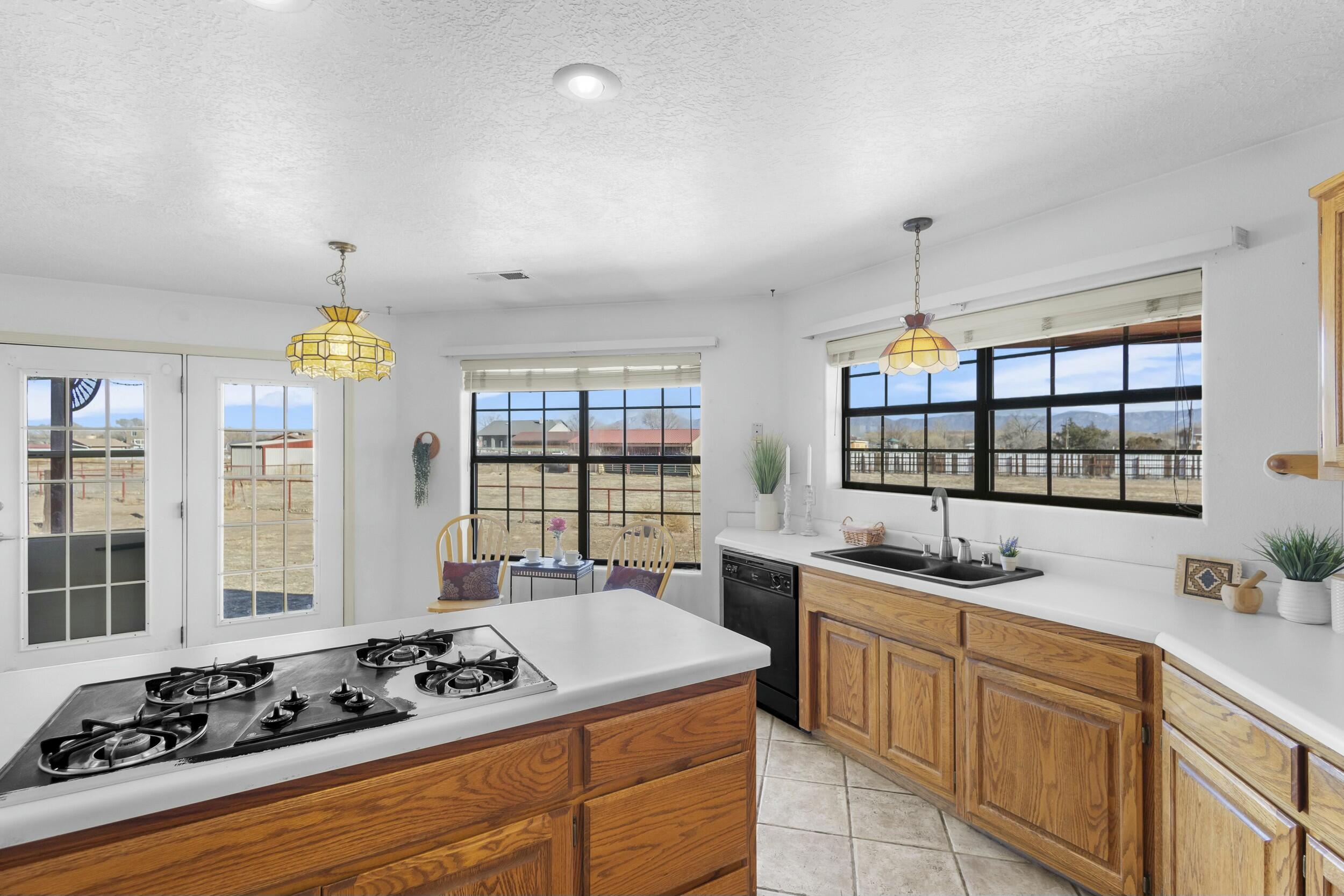 1 Blackberry Lane, Los Lunas, New Mexico image 13