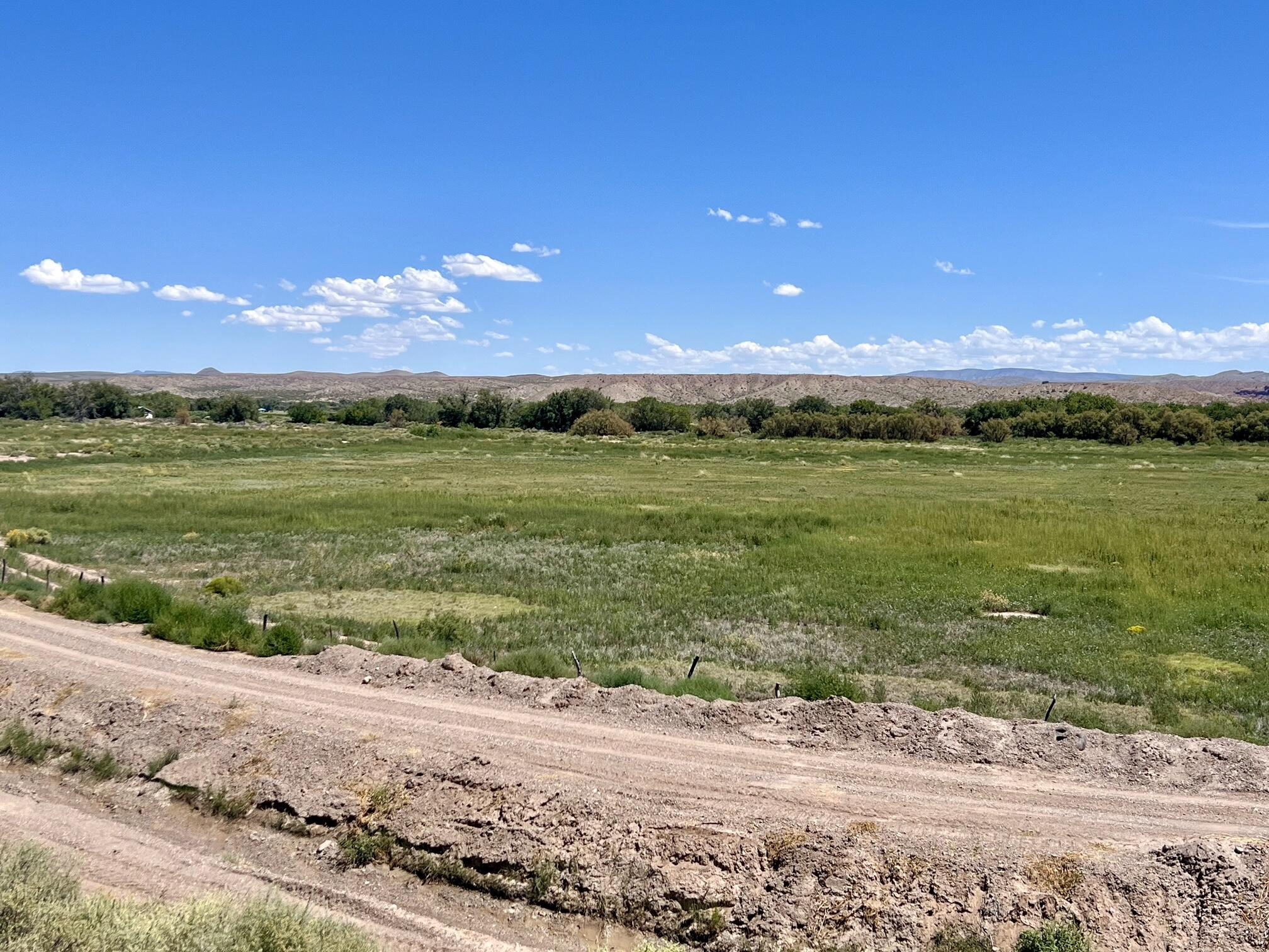 Lemitar Farm, Lemitar, New Mexico image 5