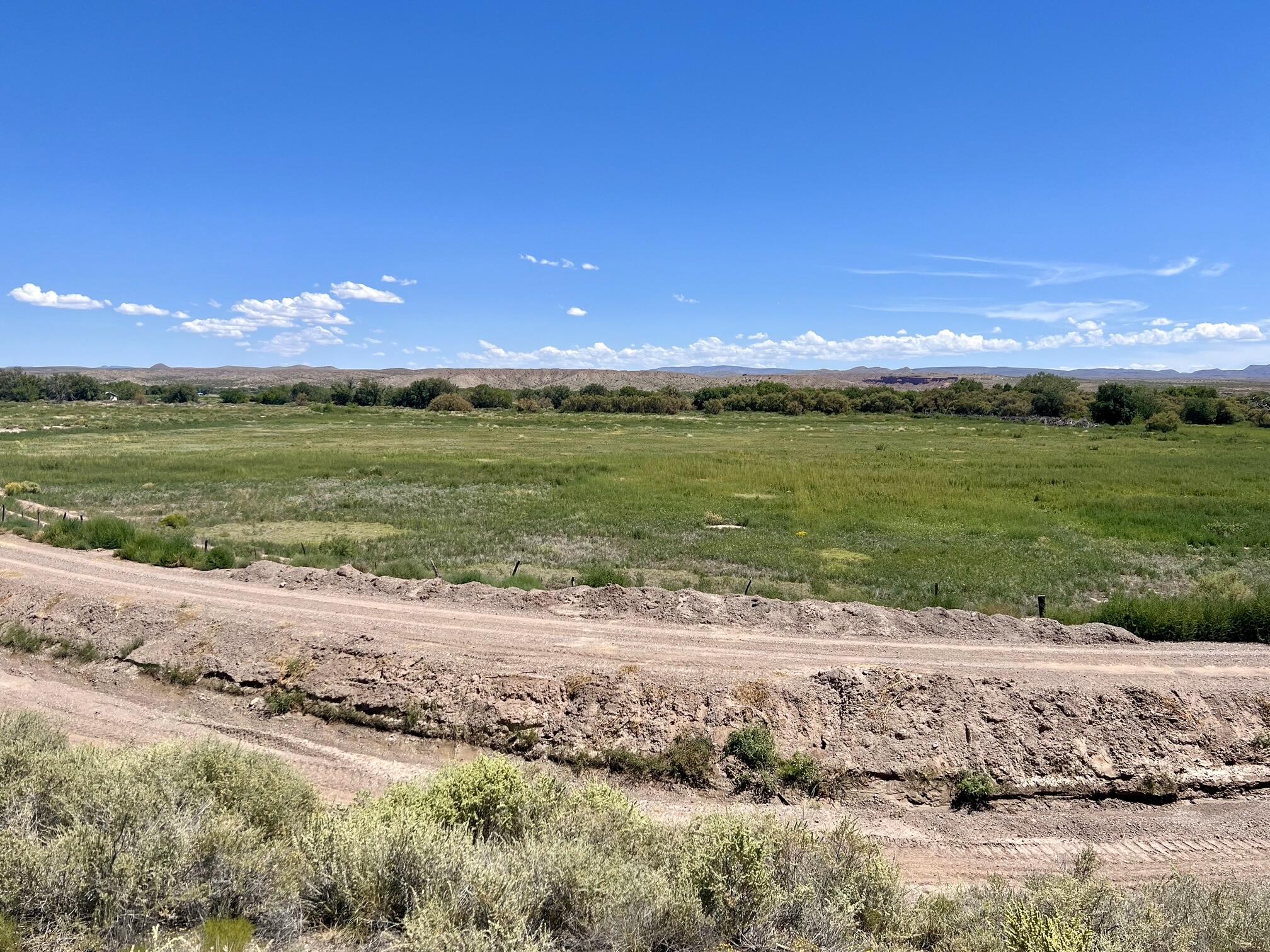 Lemitar Farm, Lemitar, New Mexico image 2