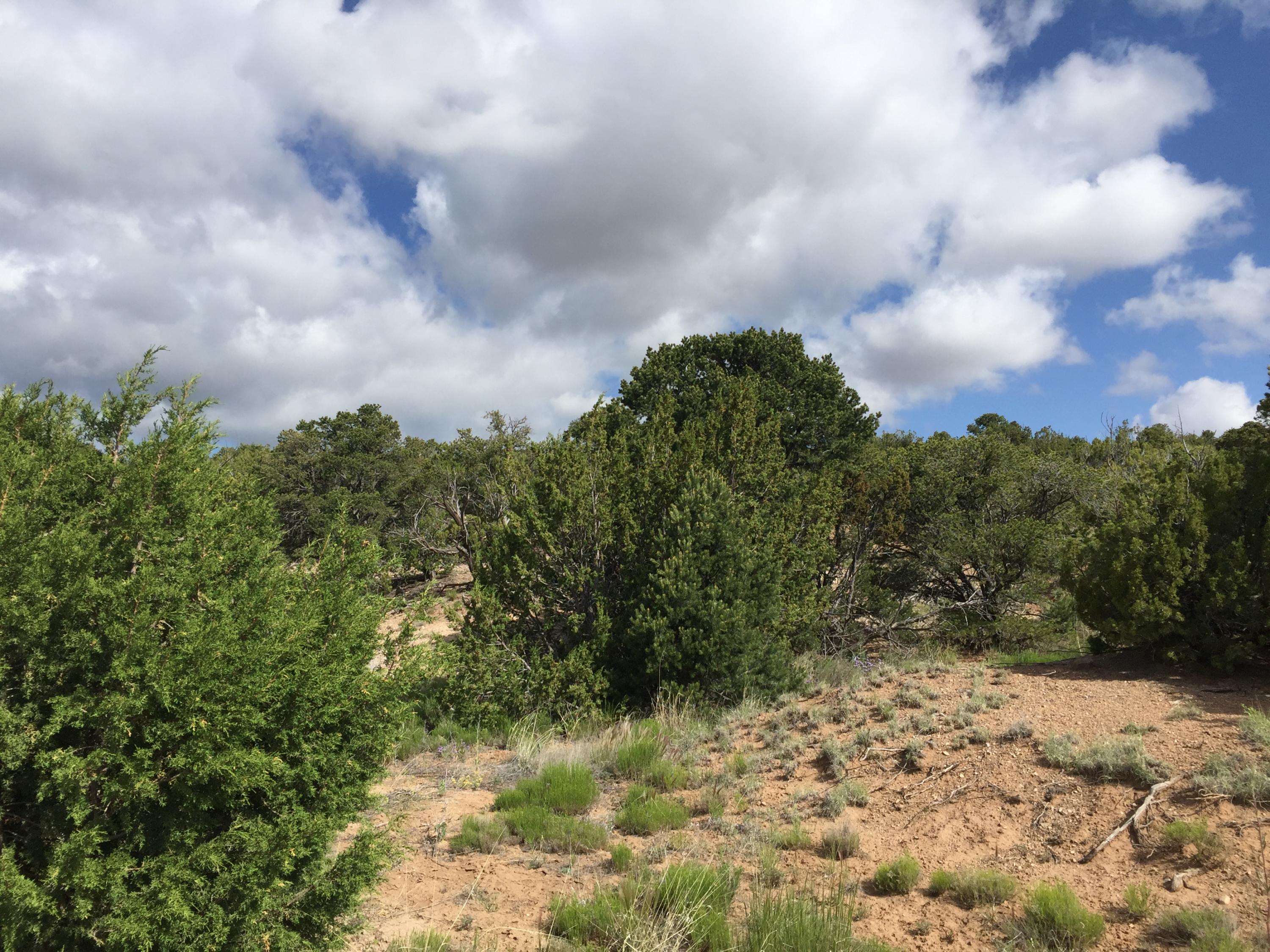 84 Rain Dance Road, Sandia Park, New Mexico image 1