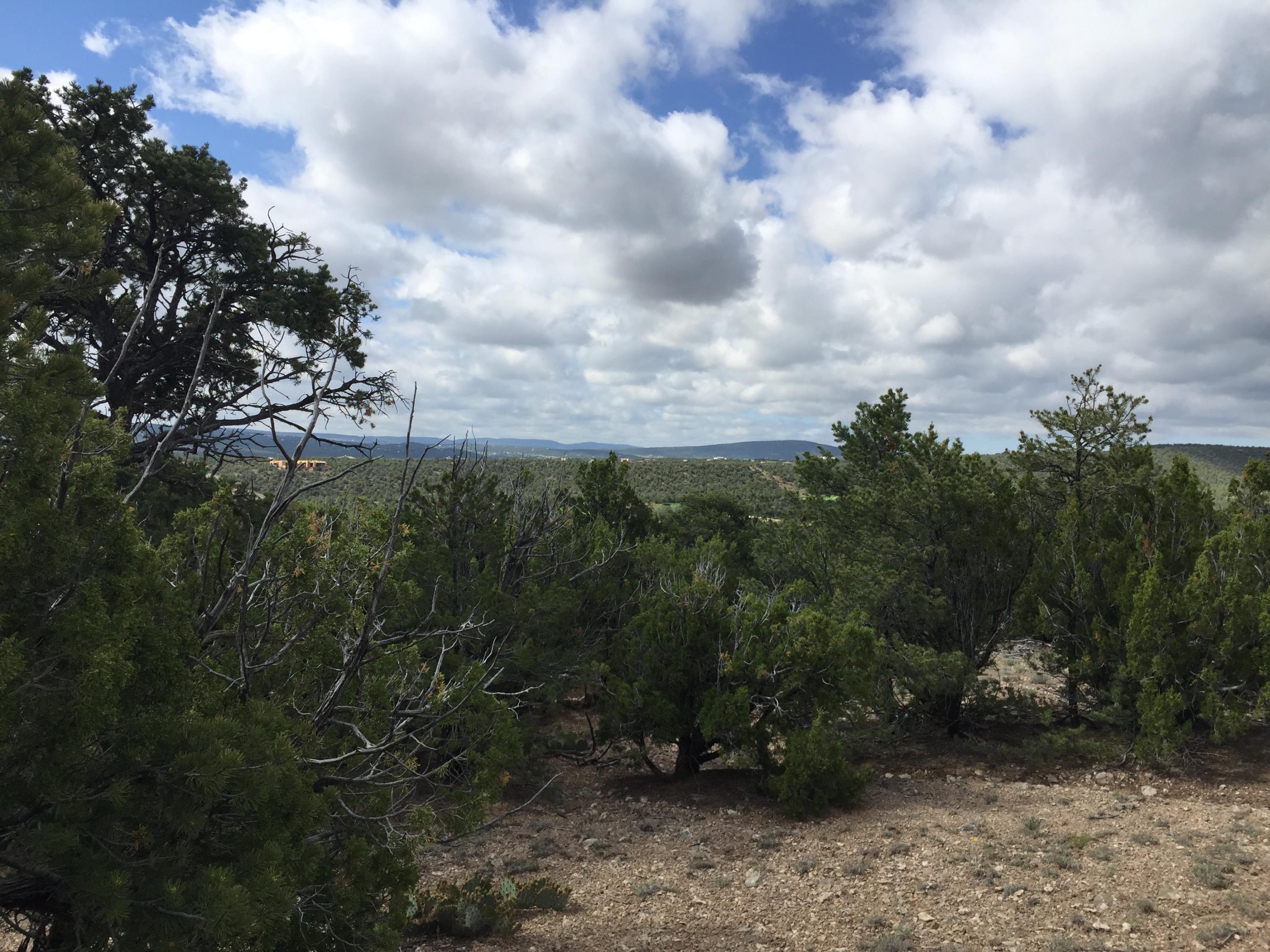 84 Rain Dance Road, Sandia Park, New Mexico image 6