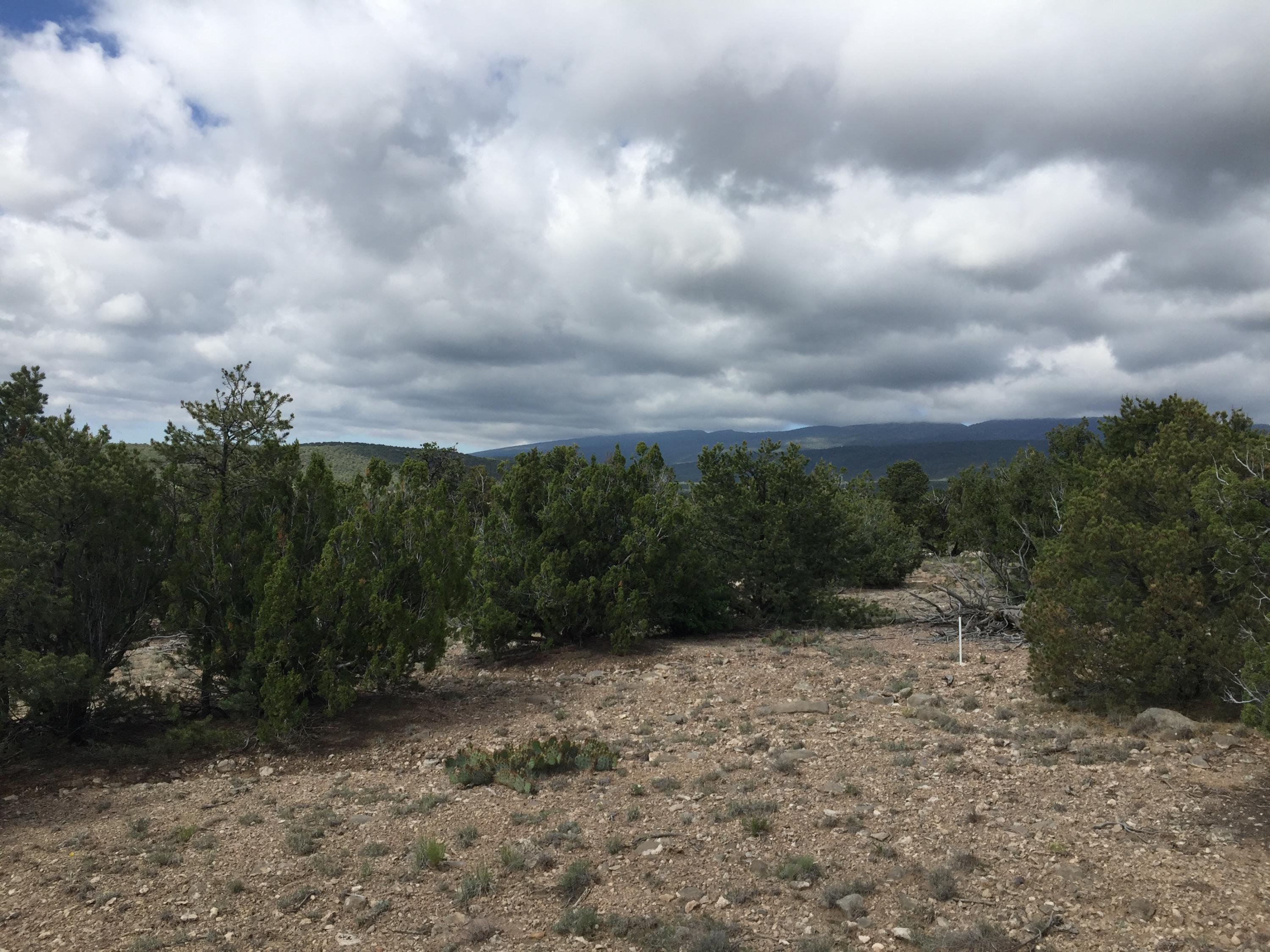 84 Rain Dance Road, Sandia Park, New Mexico image 7