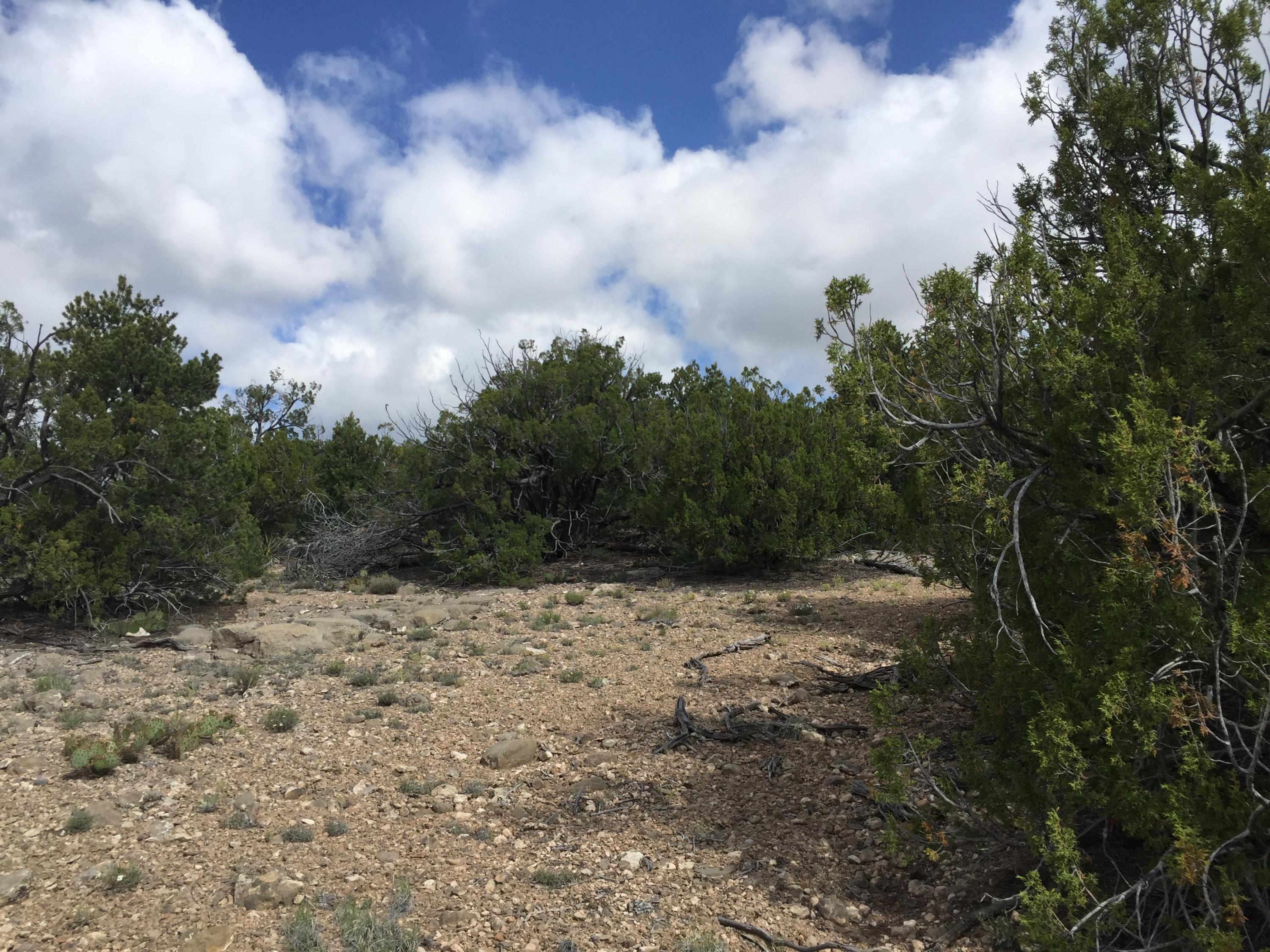 84 Rain Dance Road, Sandia Park, New Mexico image 5