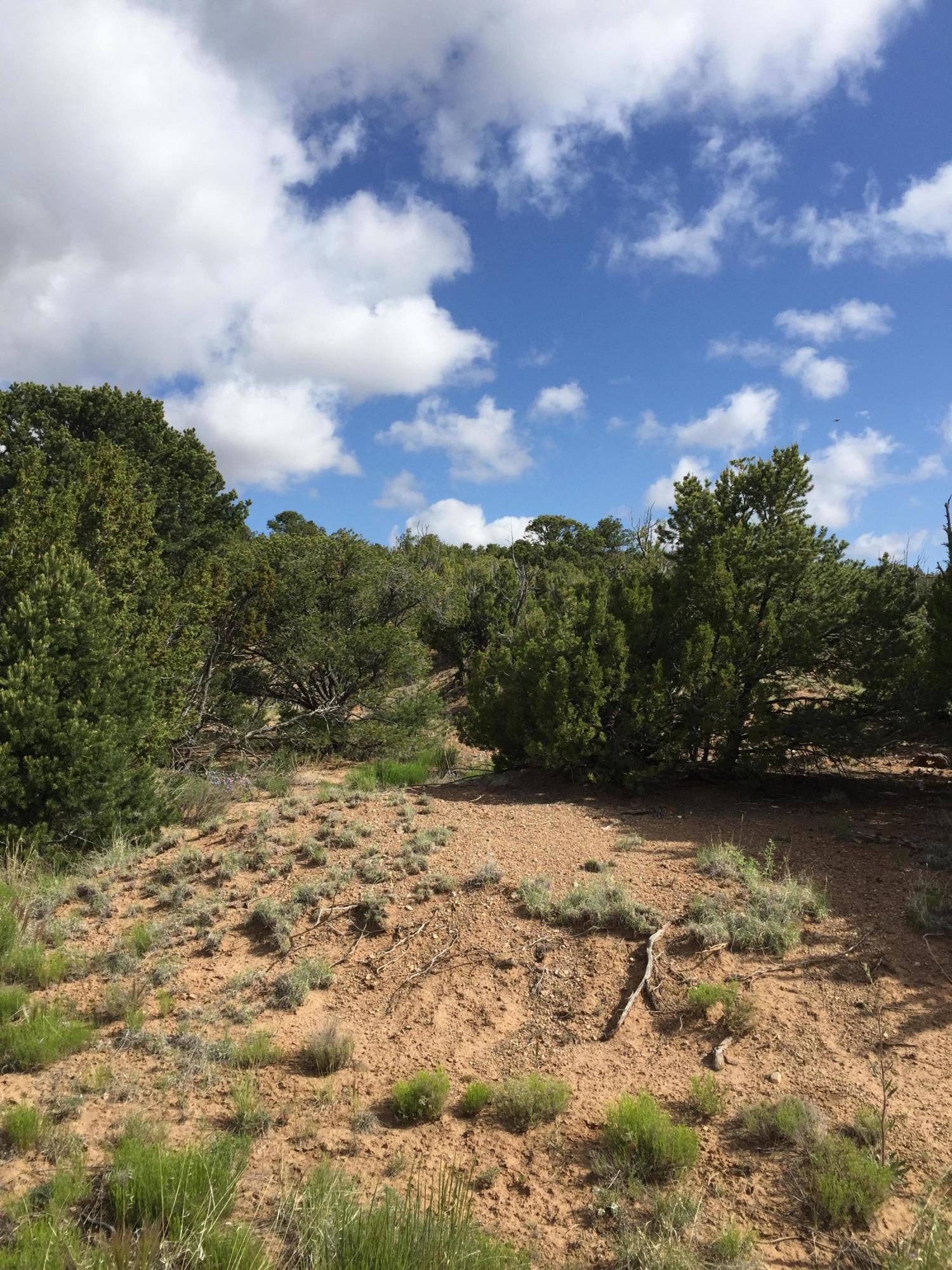 84 Rain Dance Road, Sandia Park, New Mexico image 3