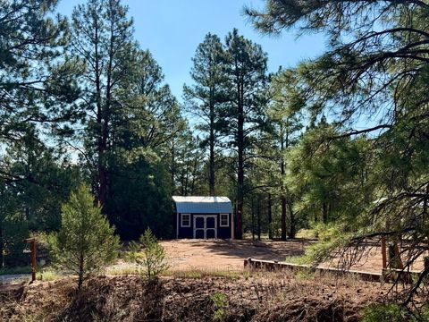 Vacant Land For Sale - 19 W Bobcat Drive<br/> Ramah, NM 87321