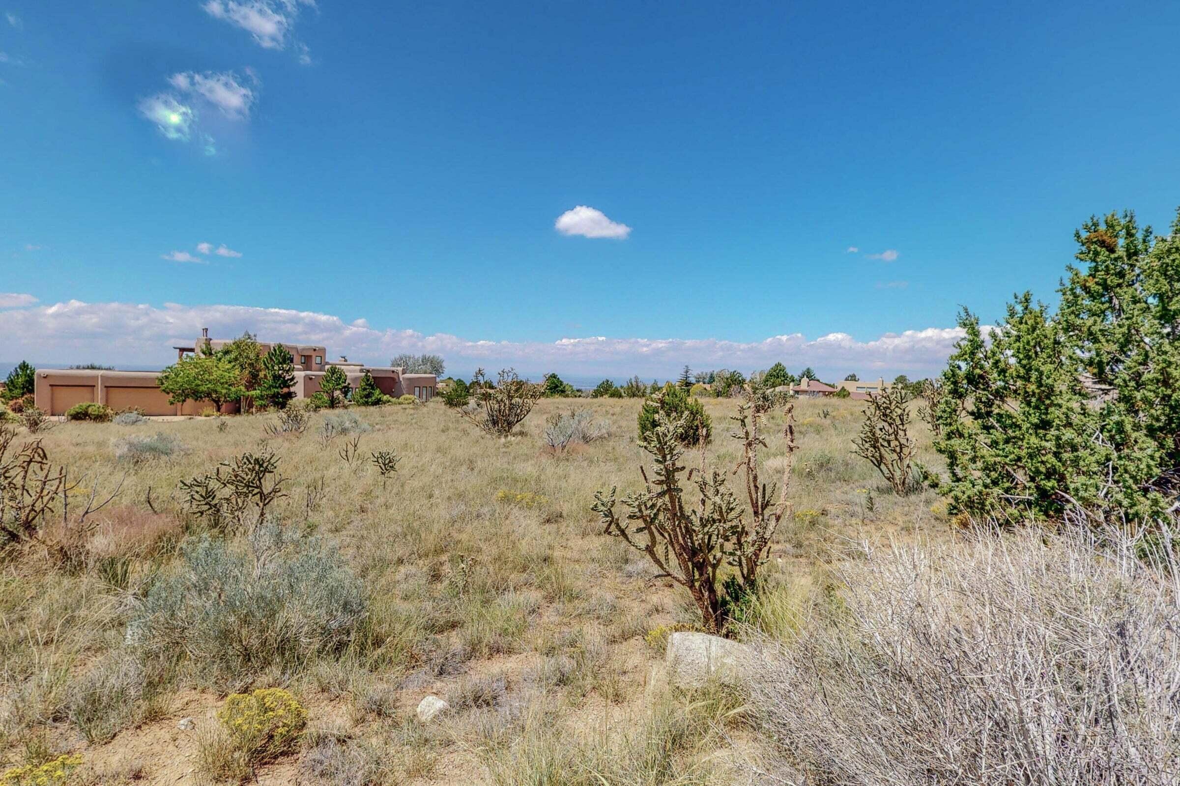 13515 Pino Ridge Place, Albuquerque, New Mexico image 3