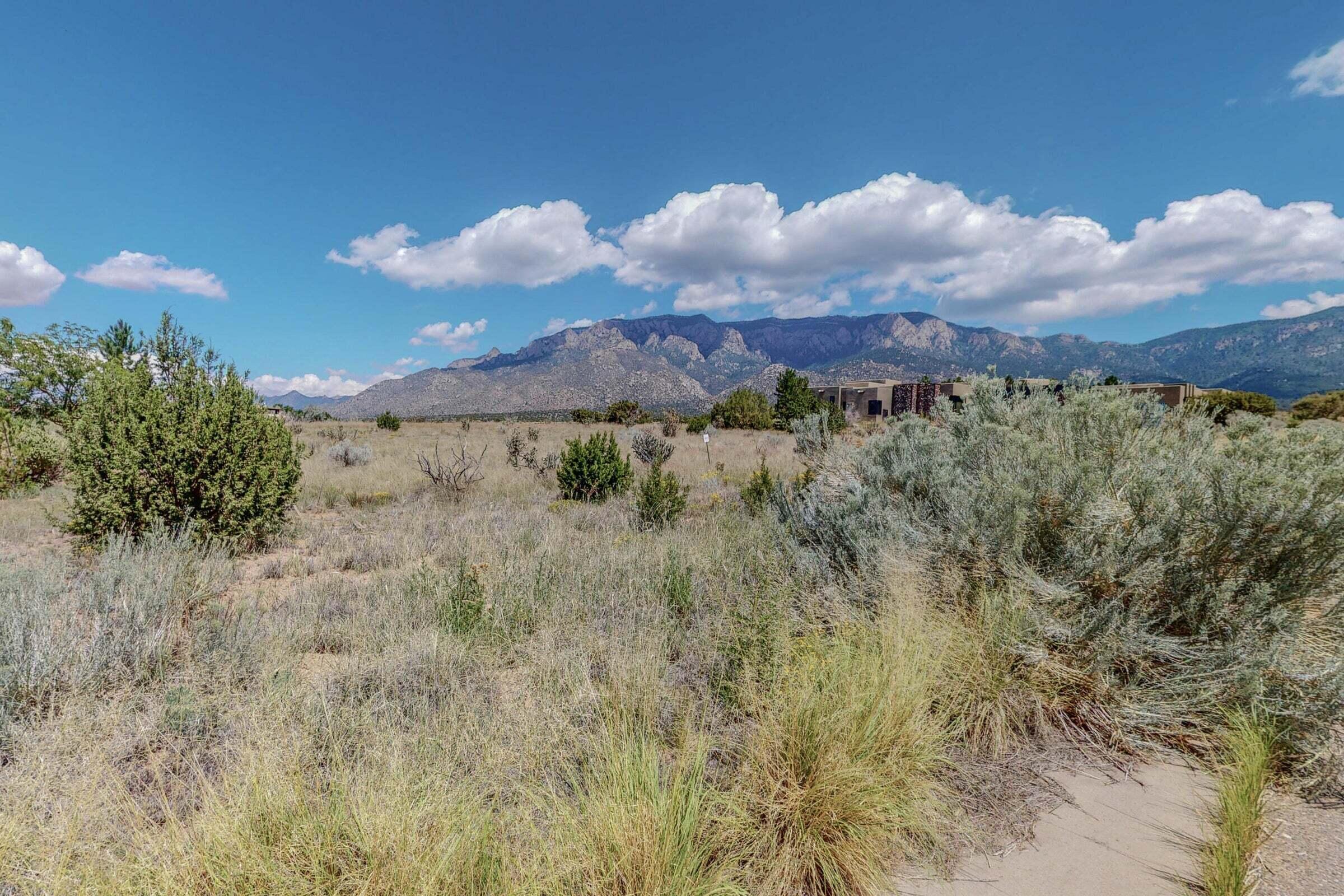 13515 Pino Ridge Place, Albuquerque, New Mexico image 9