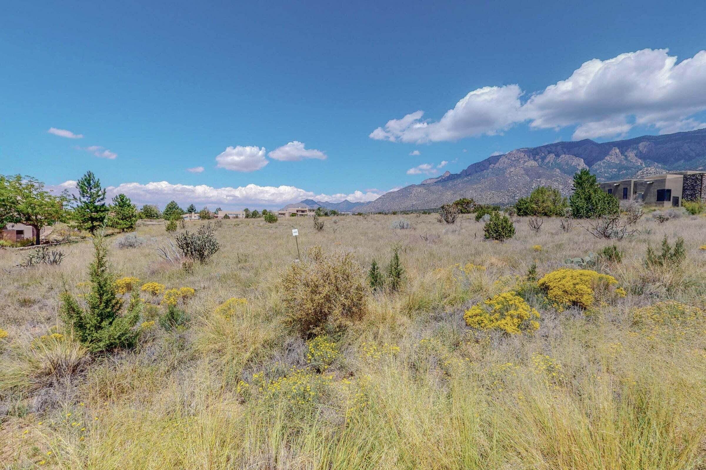 13515 Pino Ridge Place, Albuquerque, New Mexico image 8