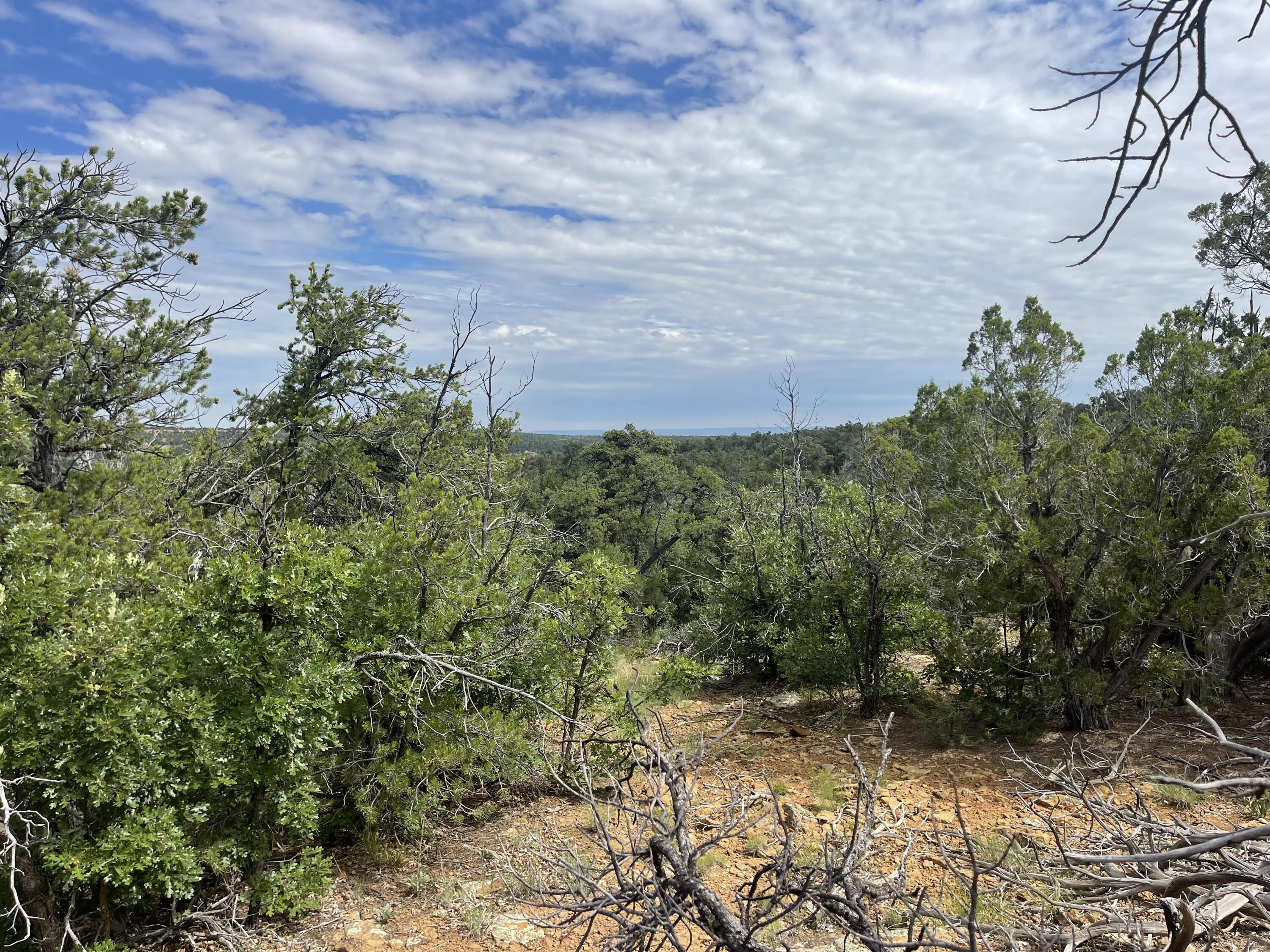 Lot 48 Ridge Road, Ramah, New Mexico image 6