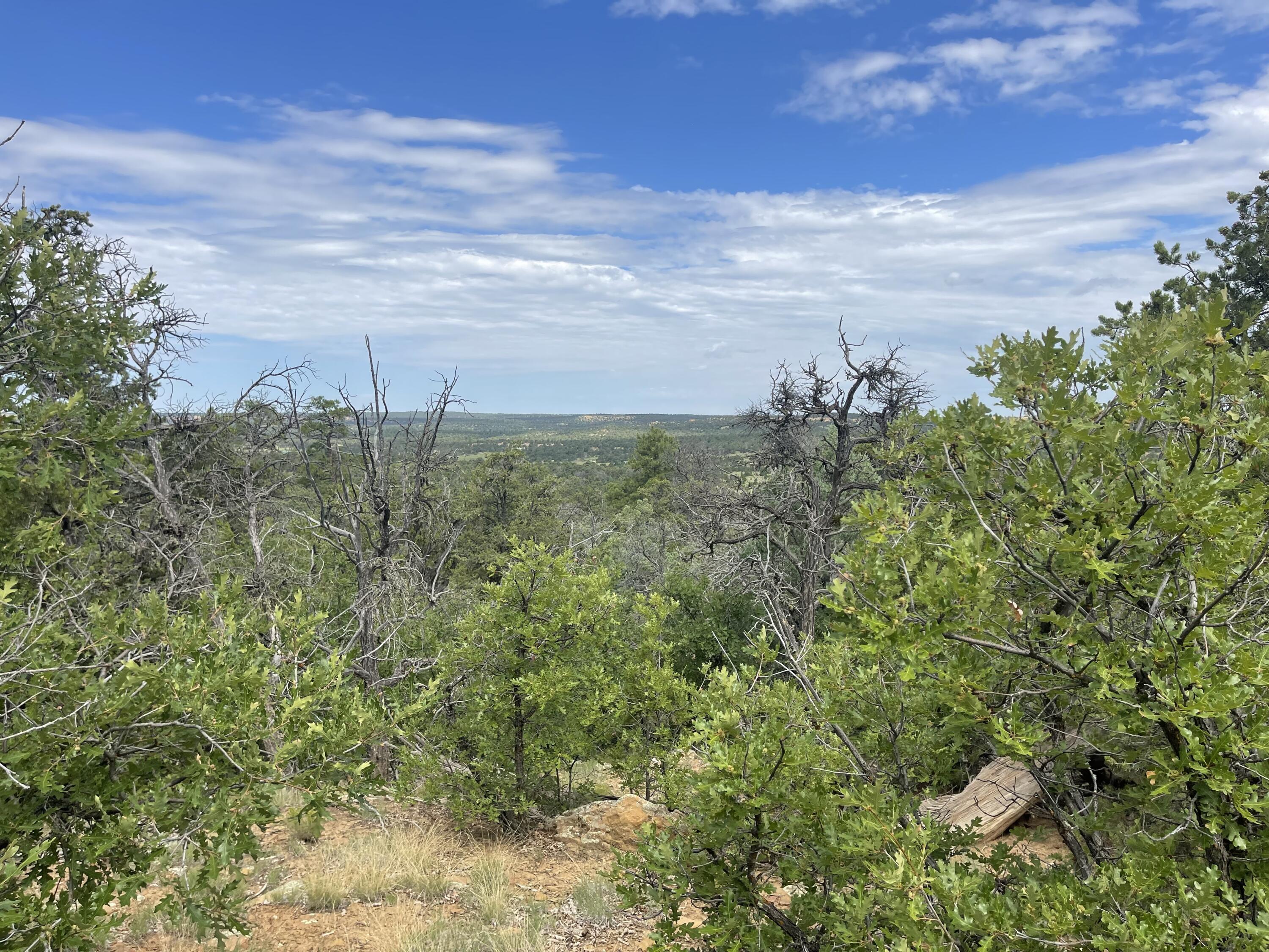 Lot 48 Ridge Road, Ramah, New Mexico image 8