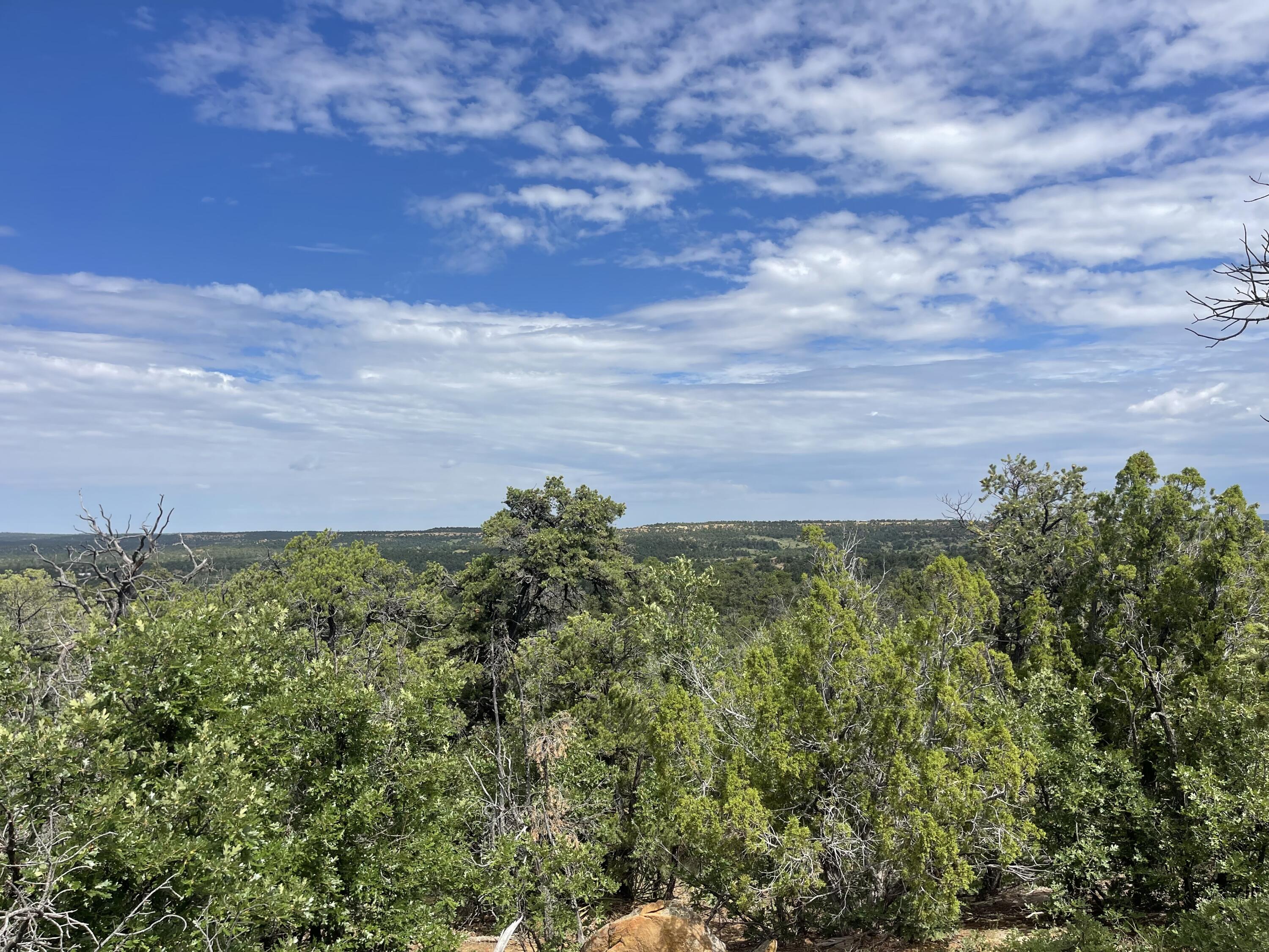 Lot 48 Ridge Road, Ramah, New Mexico image 1