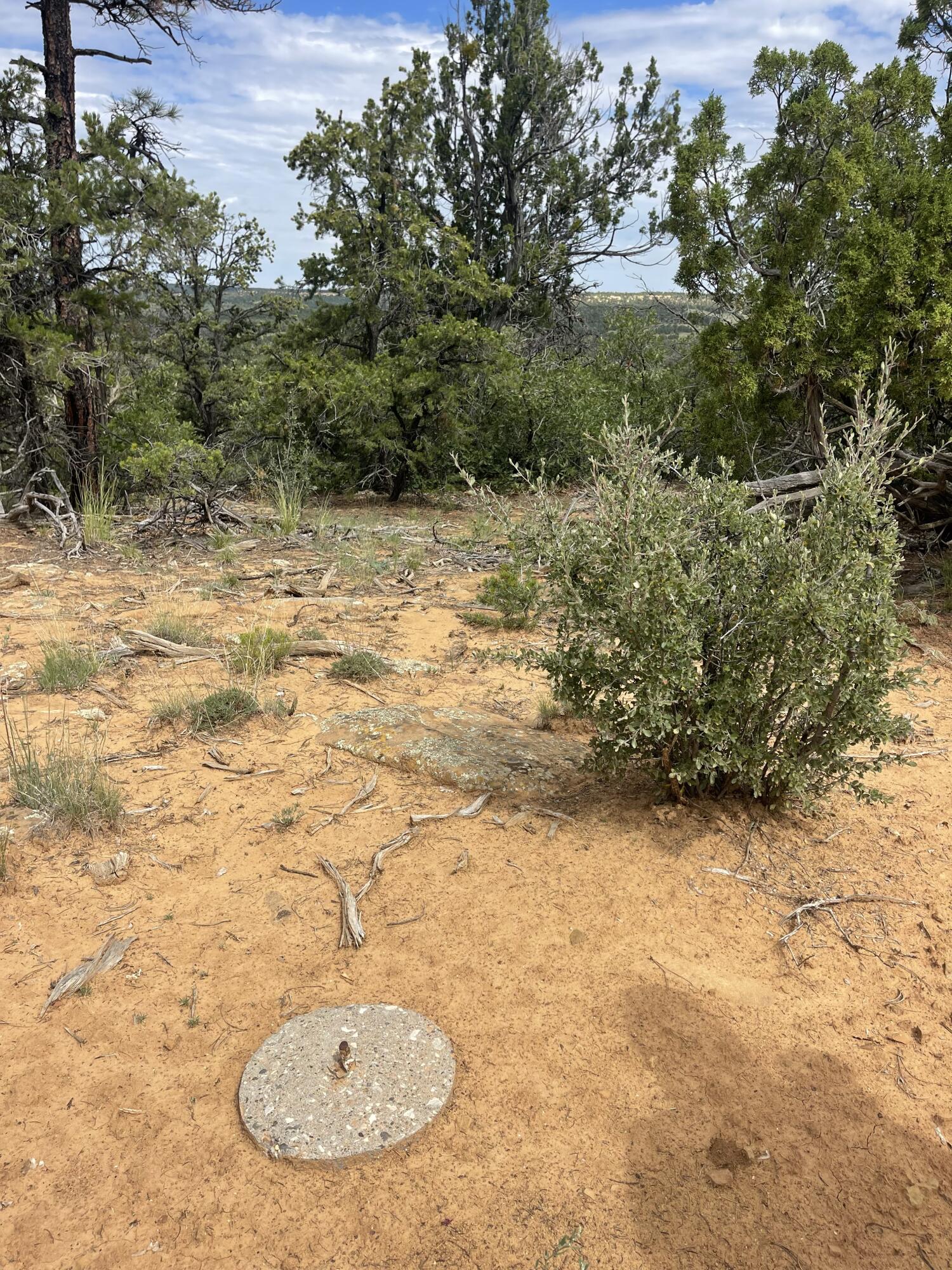 Lot 48 Ridge Road, Ramah, New Mexico image 7