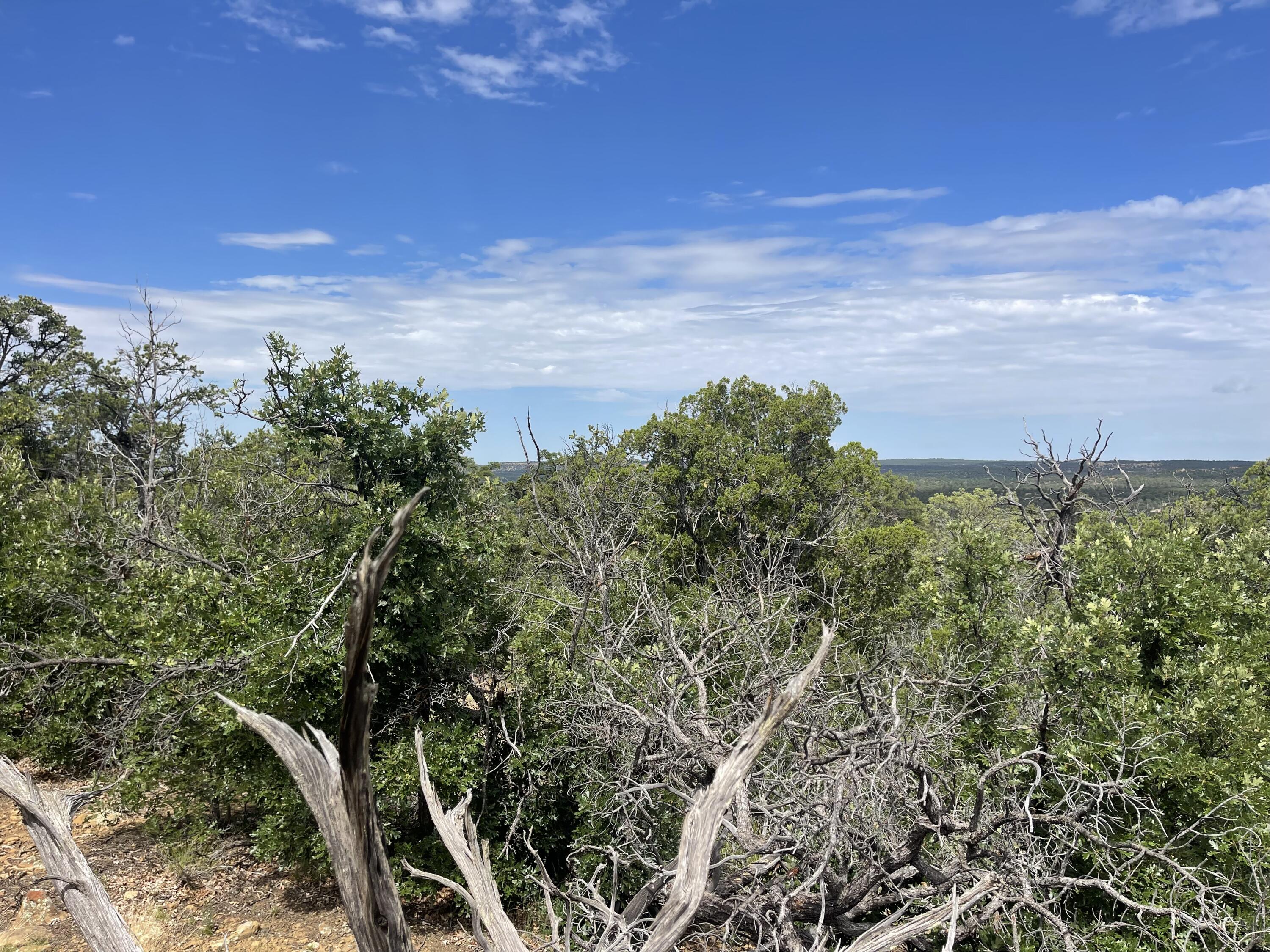 Lot 48 Ridge Road, Ramah, New Mexico image 3