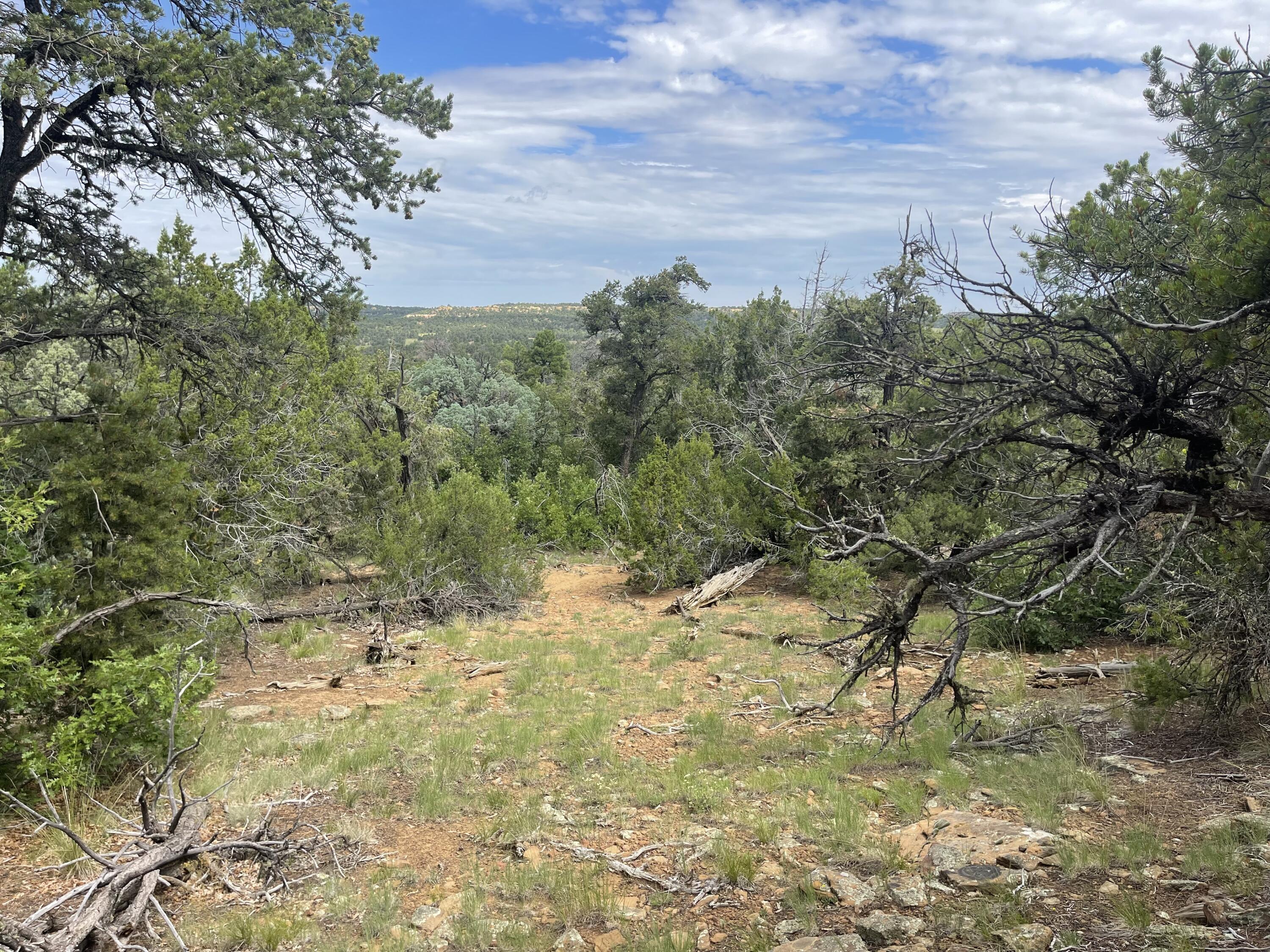 Lot 48 Ridge Road, Ramah, New Mexico image 9